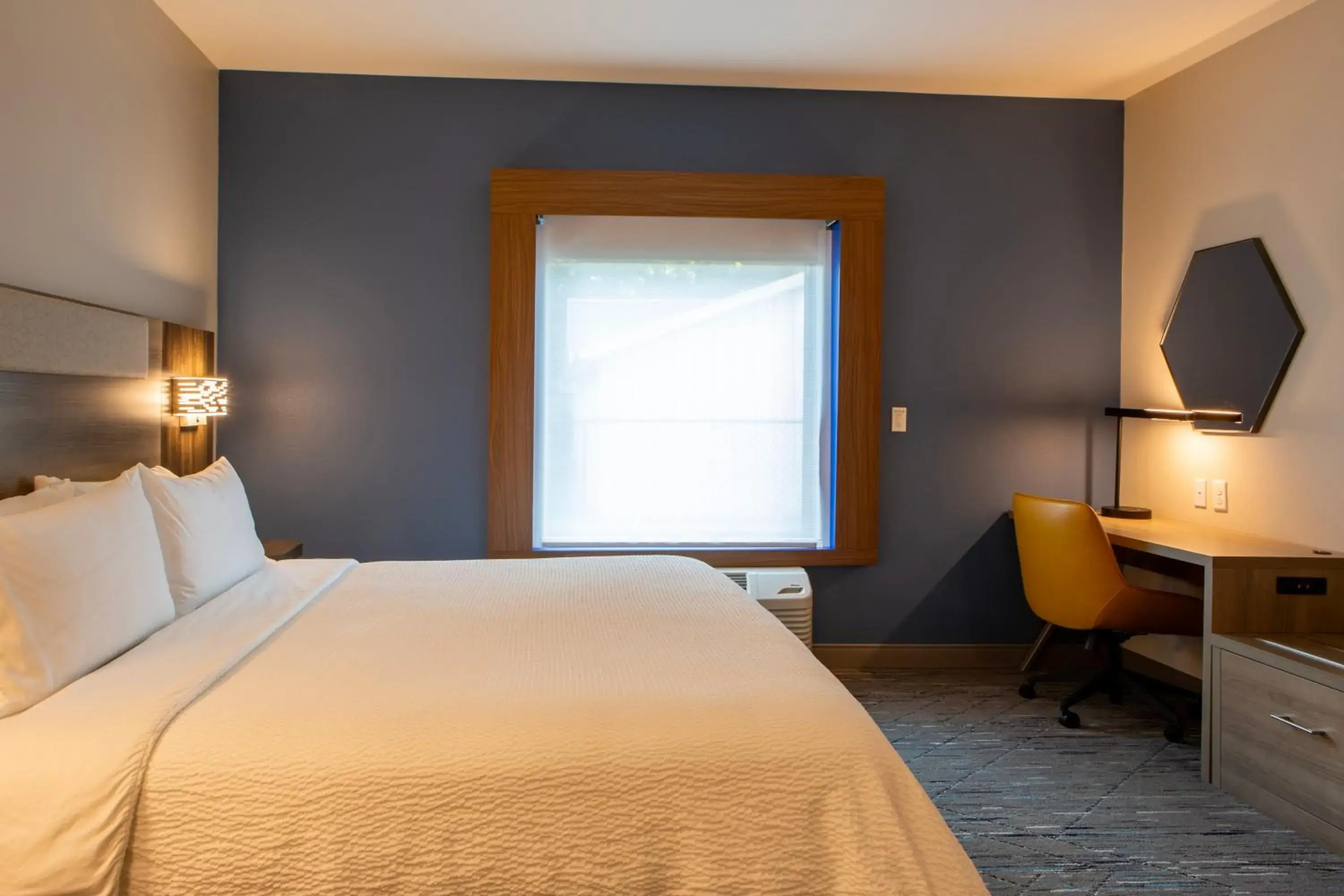 Standard King Room with Roll-in Shower - Mobility Accessible in Holiday Inn Express & Suites Sioux City-South by IHG Standard King Room with Roll-in Shower - Mobility Accessible in Holiday Inn Express & Suites Sioux City-South by IHG