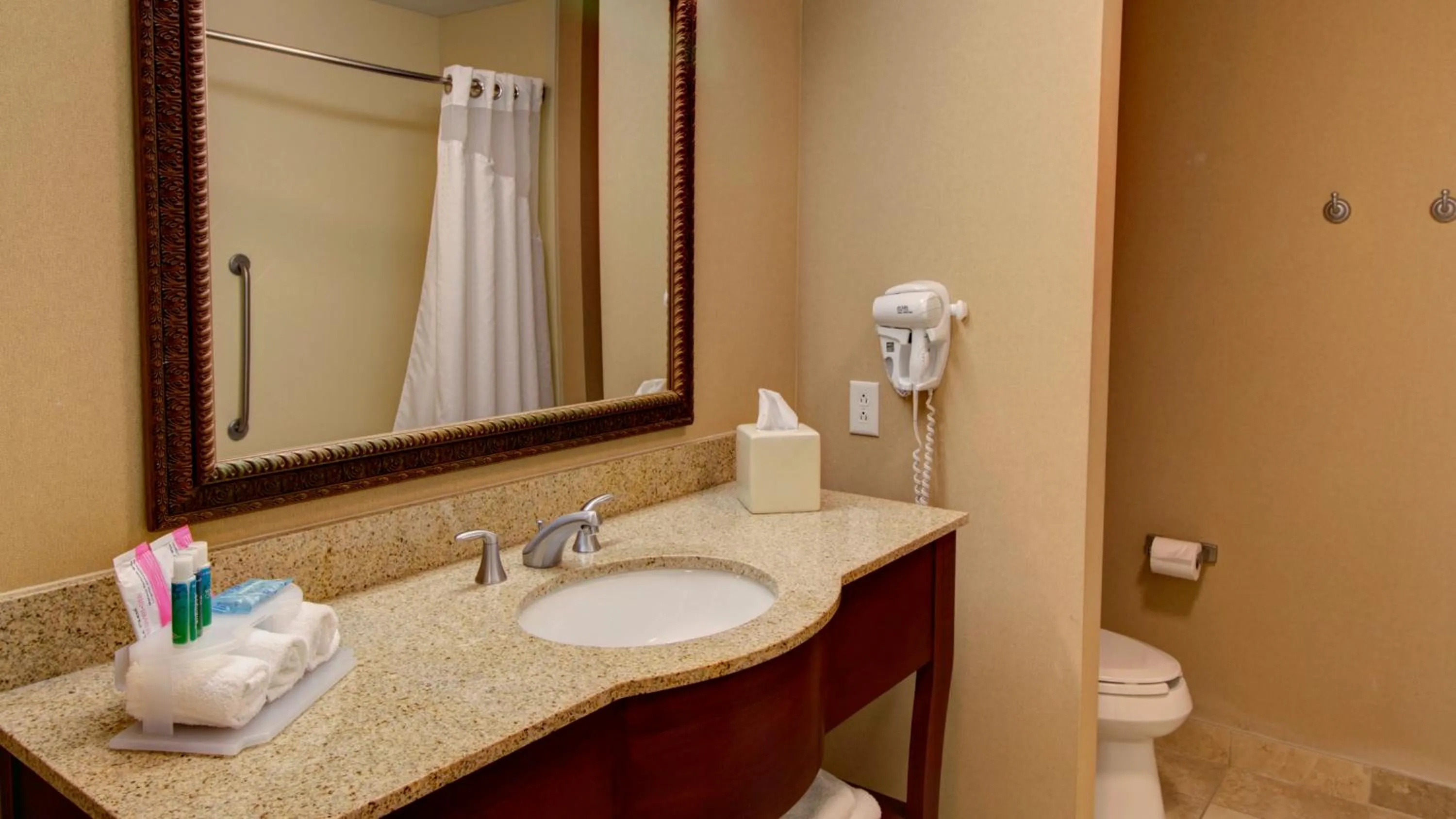 Bathroom in Holiday Inn Express & Suites Sioux City-South by IHG