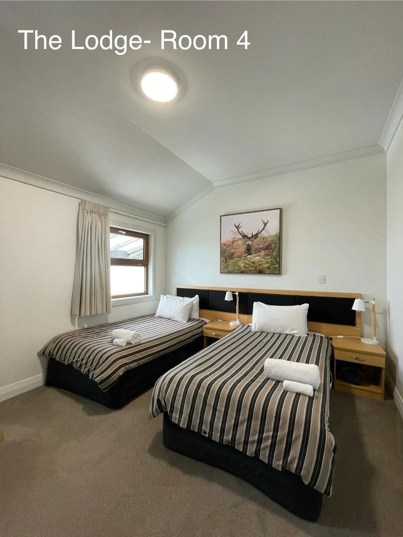 Bed in Arthur's Pass Motel & Lodge