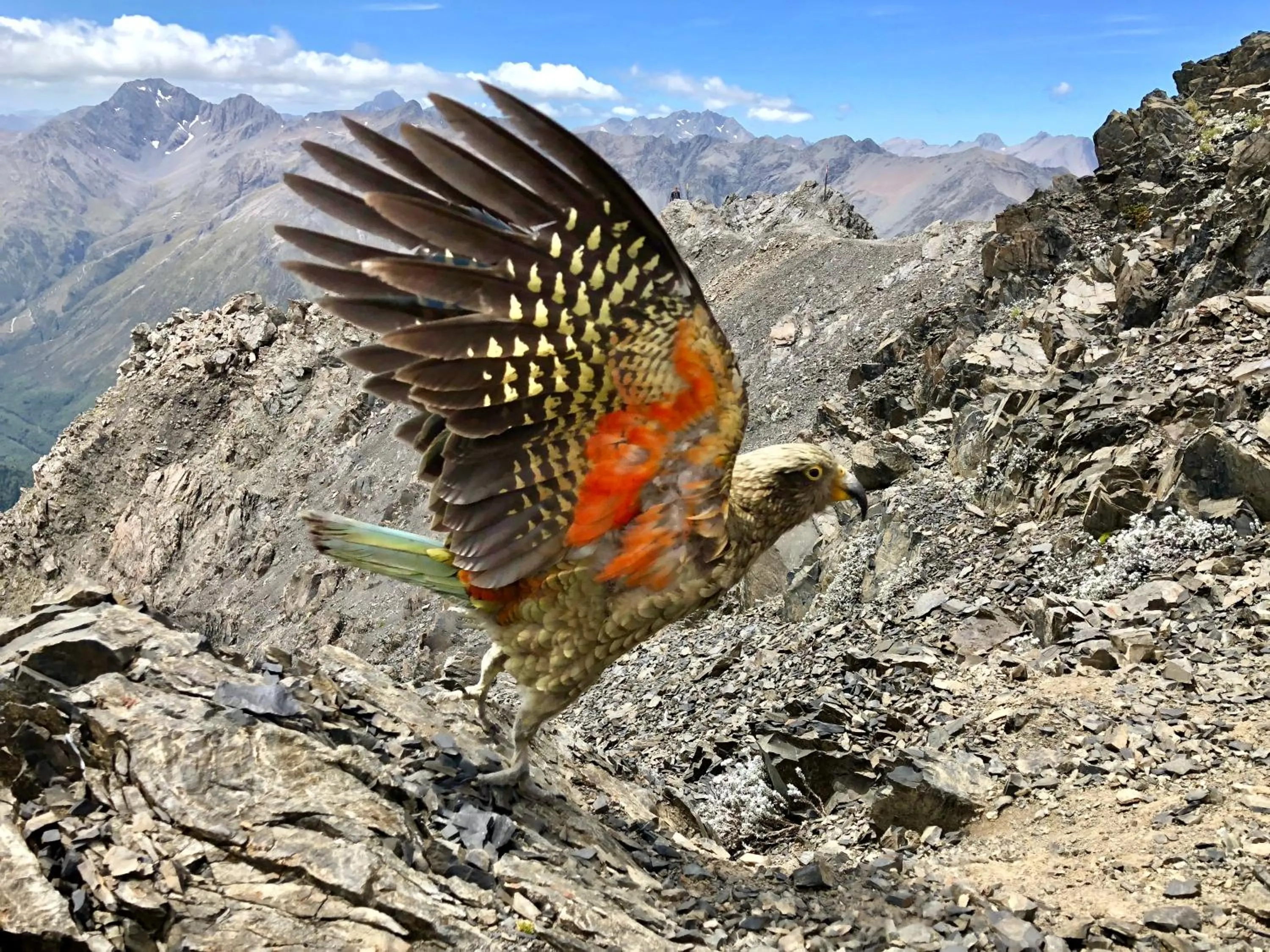 Natural landscape in Arthur's Pass Motel & Lodge