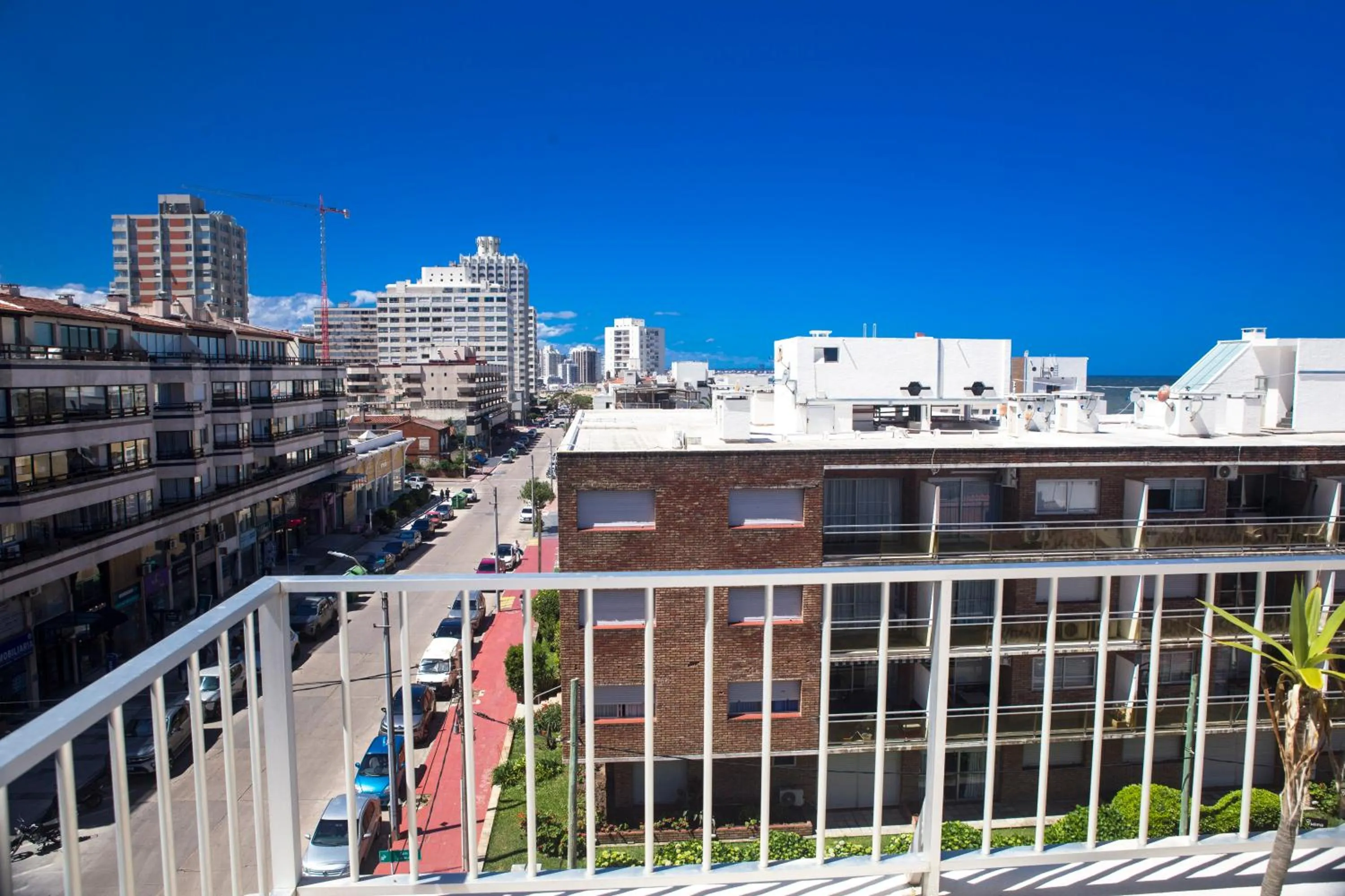 View (from property/room) in Hotel Playa Brava
