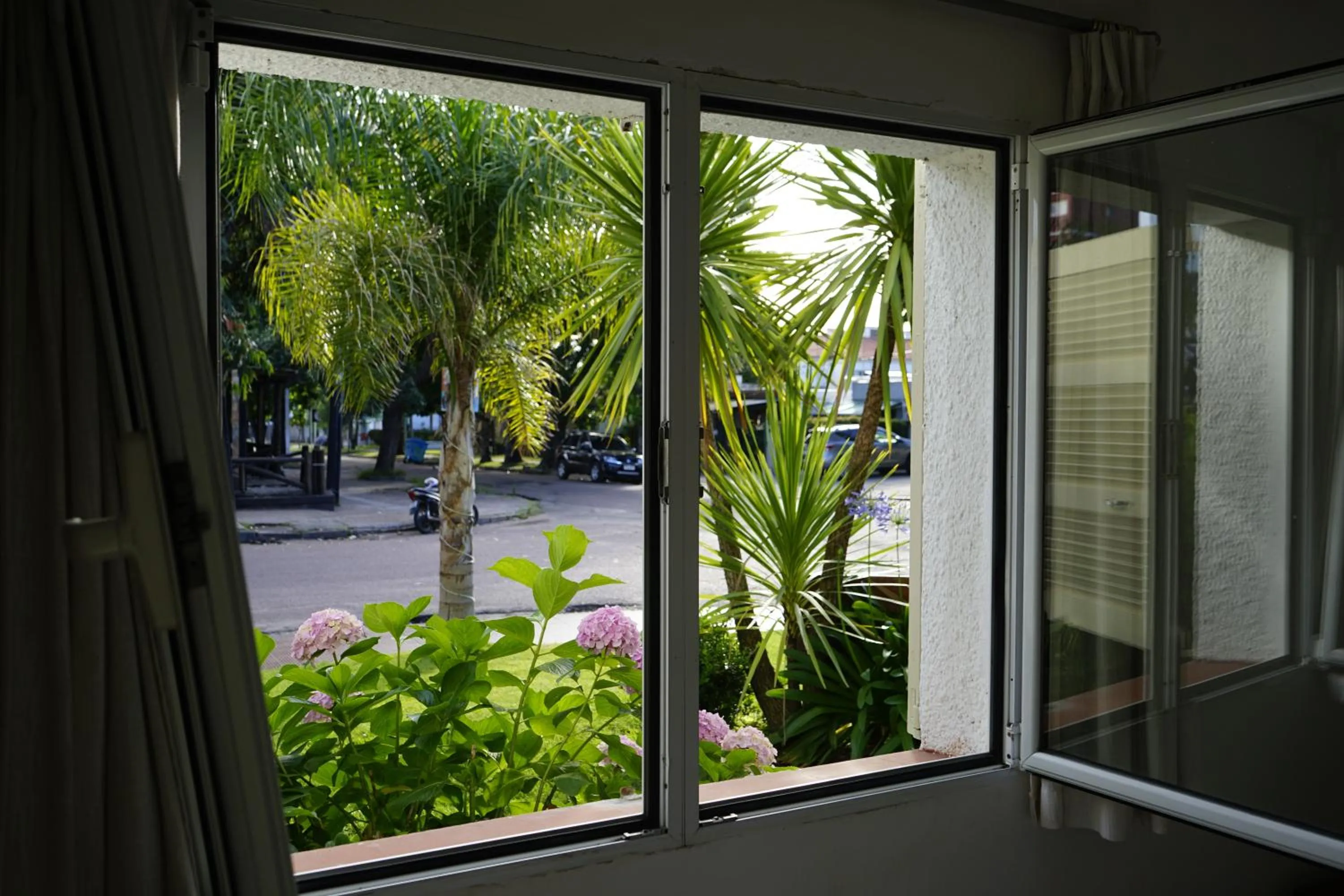 Garden view in Hotel Argentina