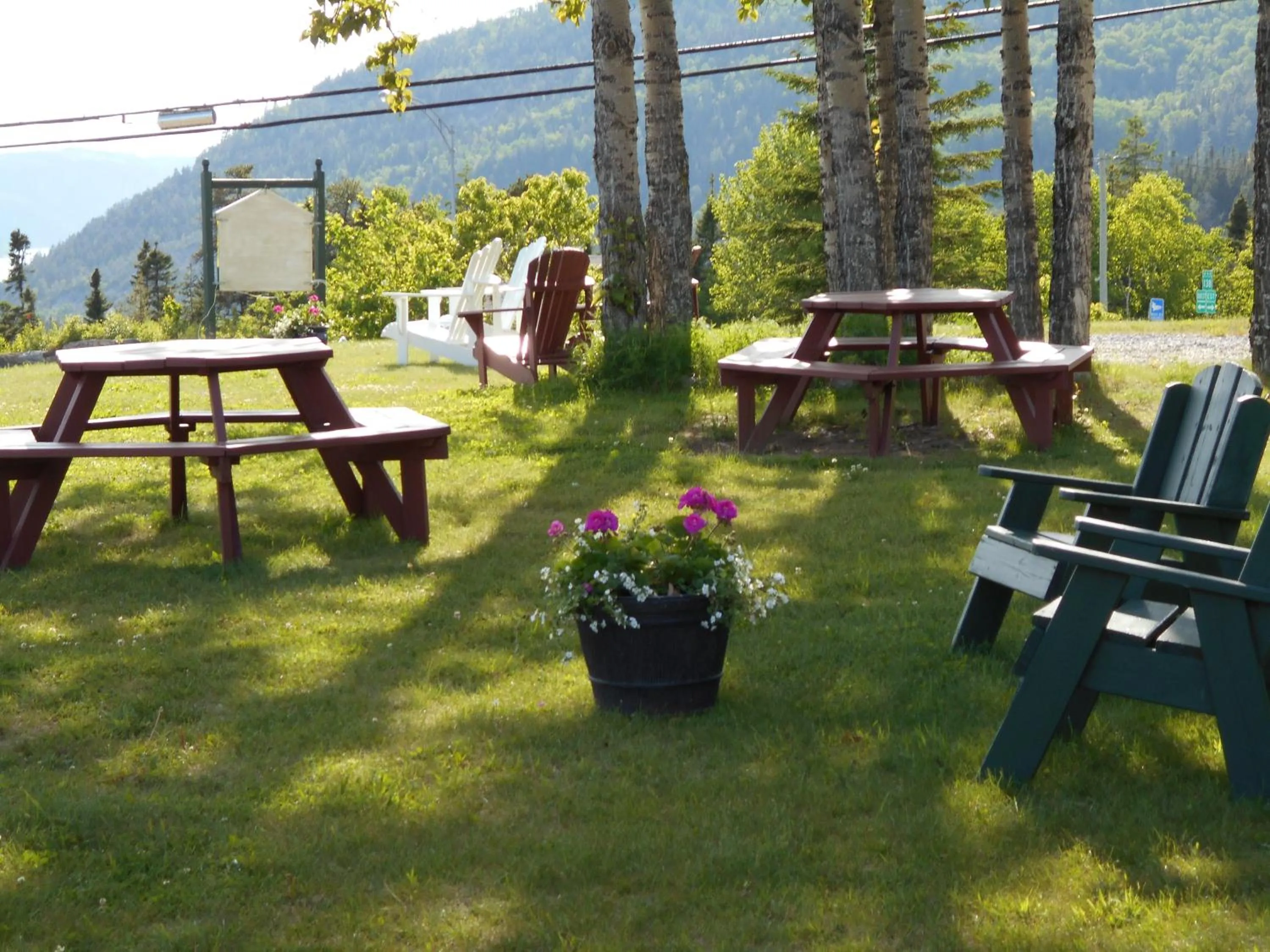 Garden in Hôtel Sous la Croix 152725