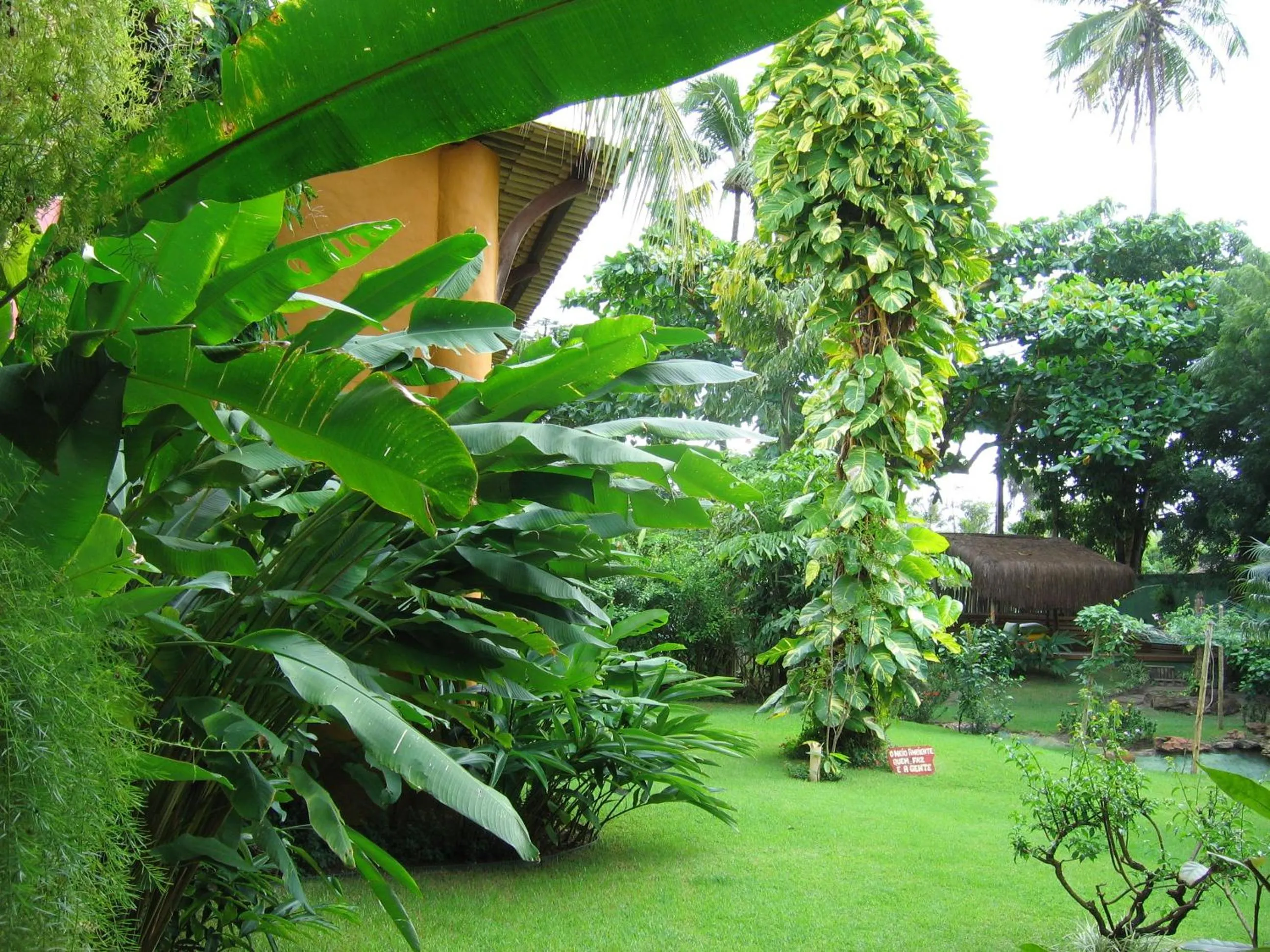 Garden in Pousada Dos Artistas