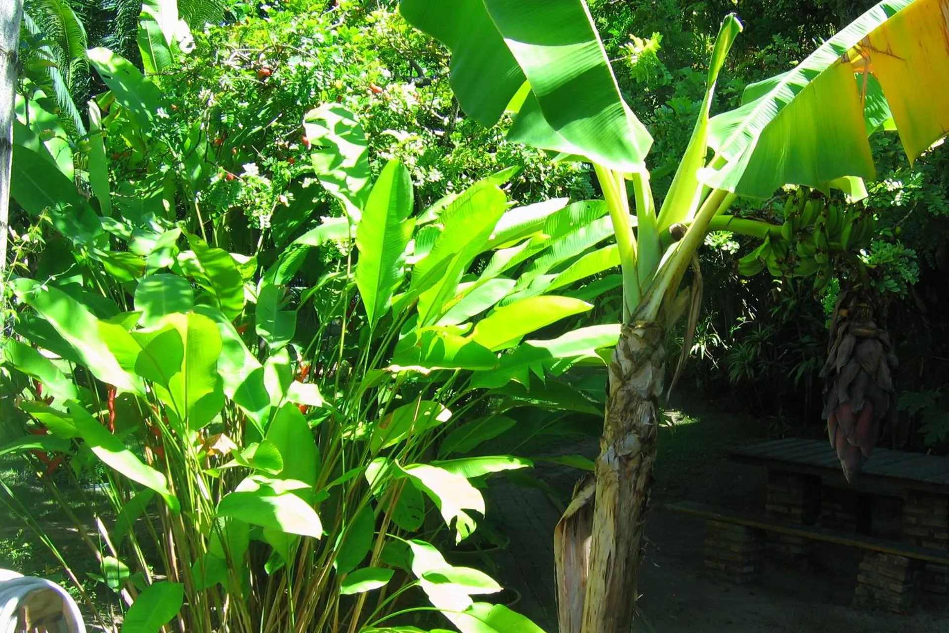 Garden in Pousada Dos Artistas
