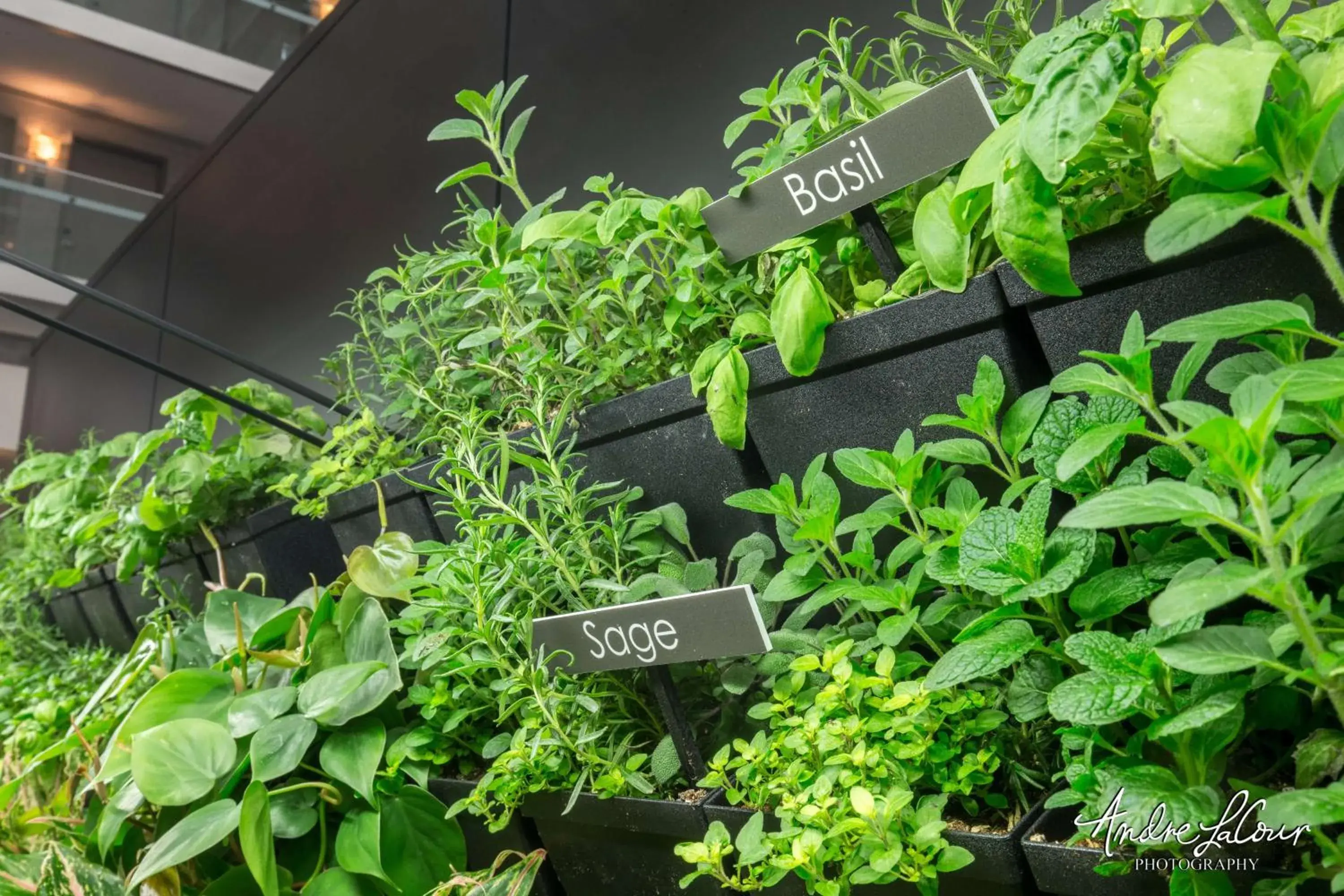 Property building in Embassy Suites by Hilton Chicago Downtown Magnificent Mile Property building in Embassy Suites by Hilton Chicago Downtown Magnificent Mile