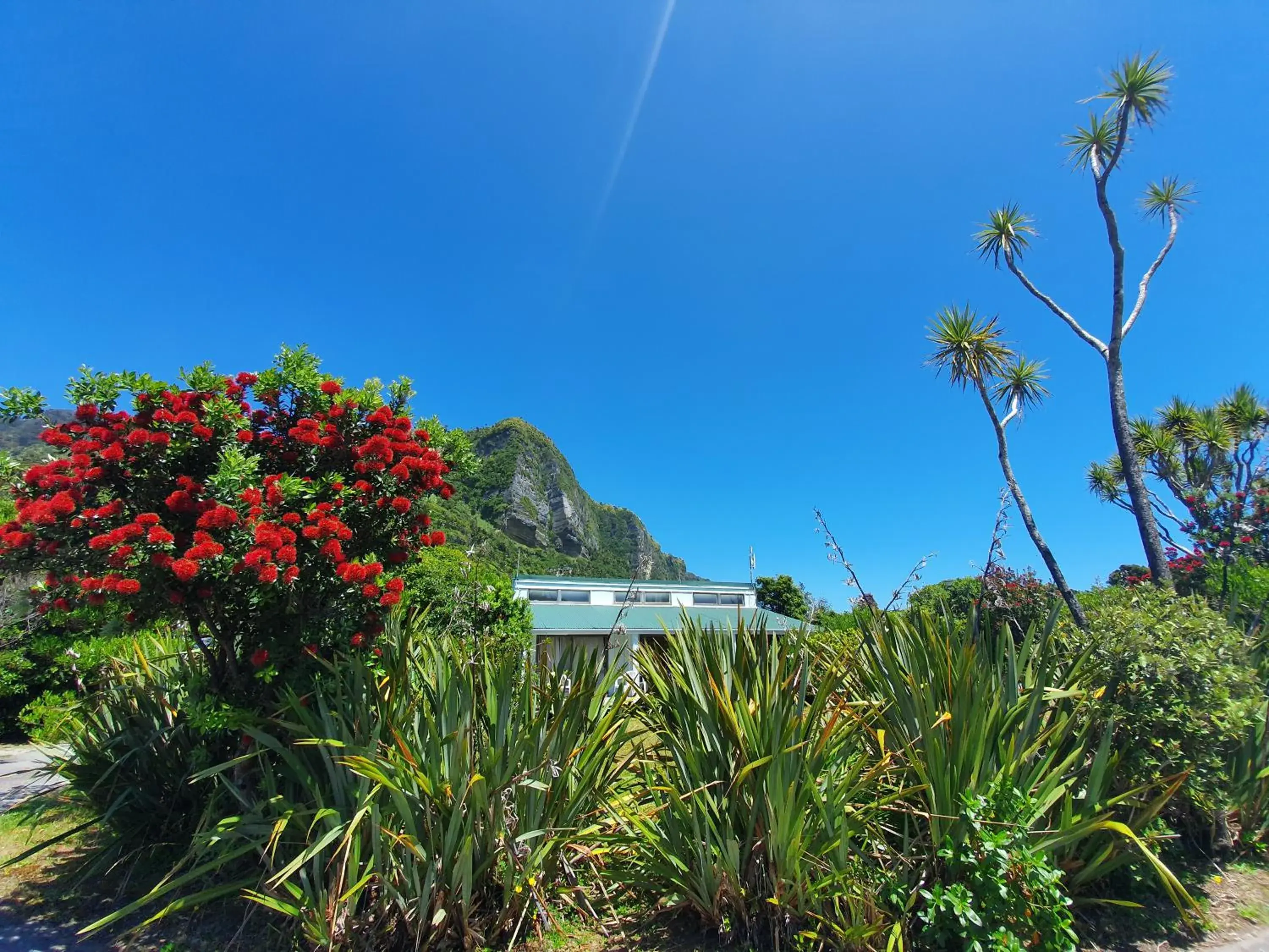 Family Room with Shared Bathroom in Punakaiki Beach Camp Family Room with Shared Bathroom in Punakaiki Beach Camp