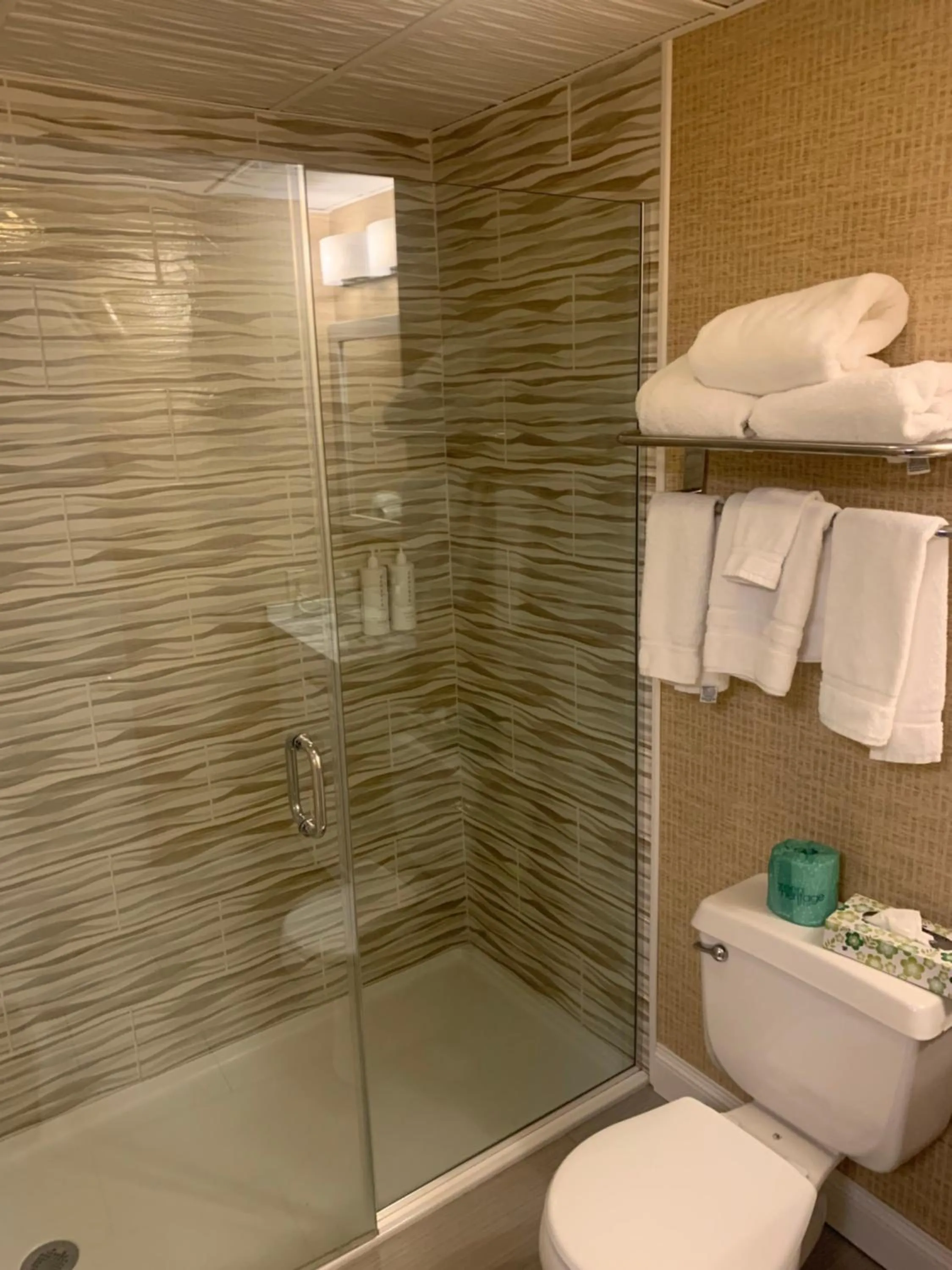 Shower in King's Port Inn