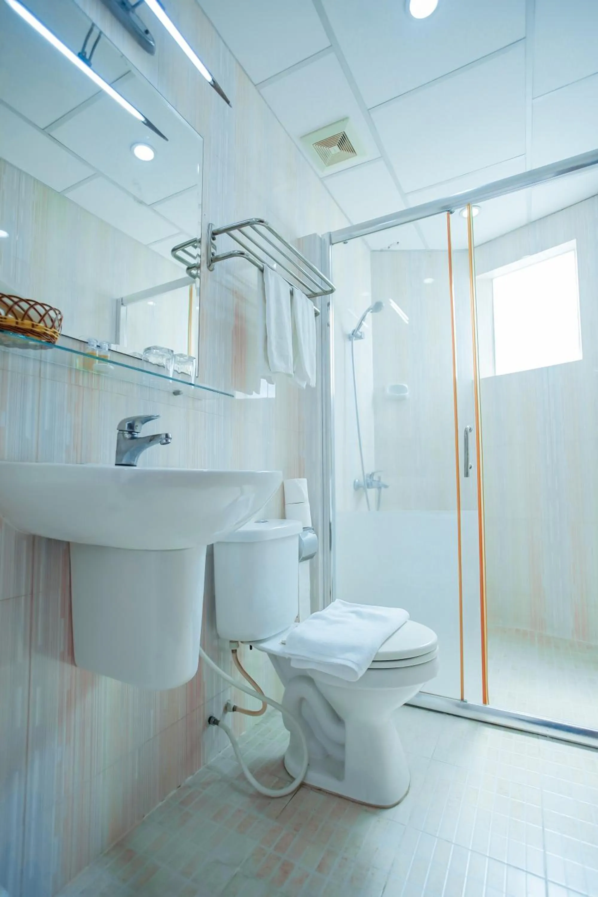 Toilet in Silver Mounts Hotel