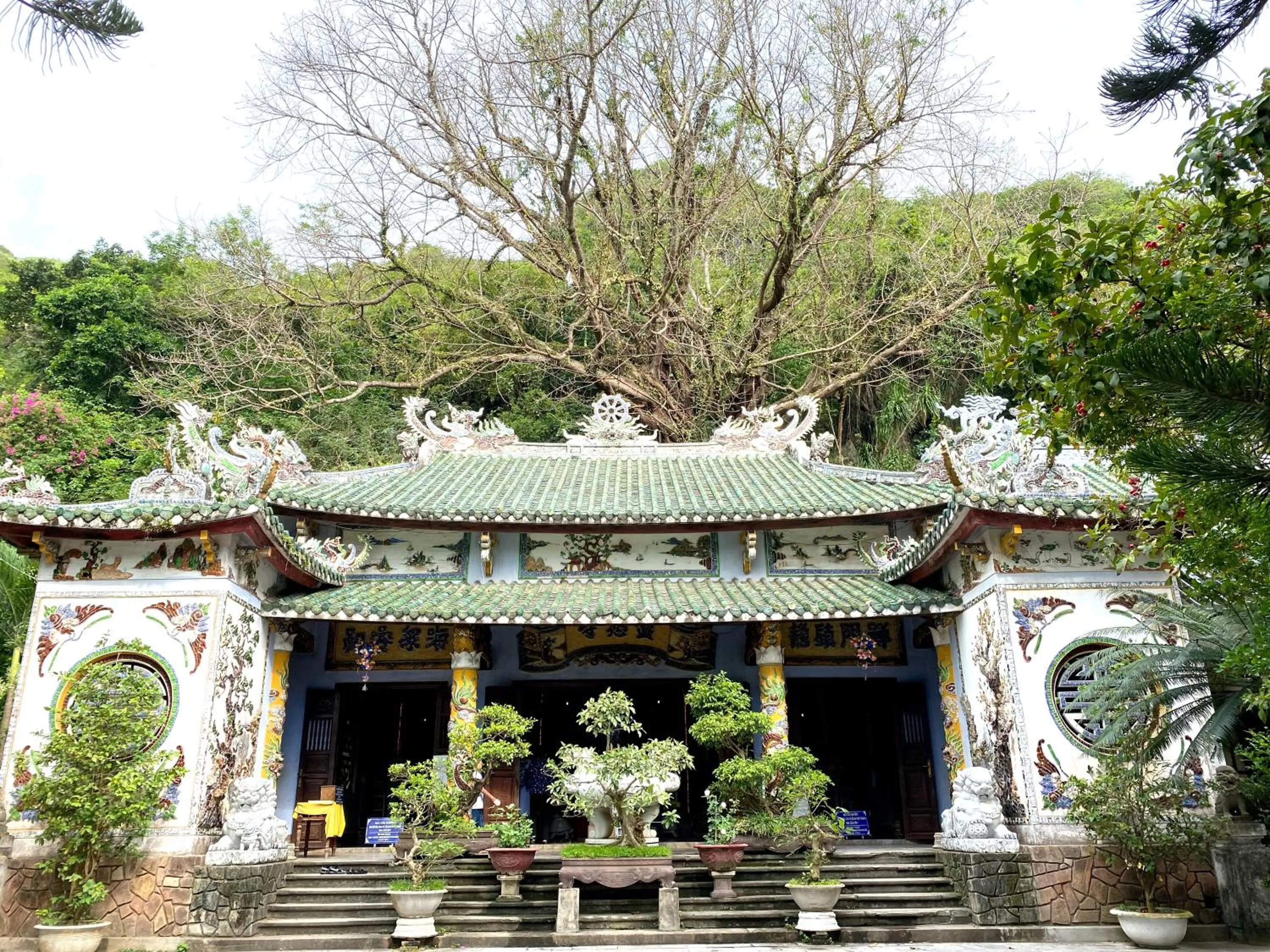 Natural landscape in KA VILLA - AN BANG BEACH, Free pick up 3 nights