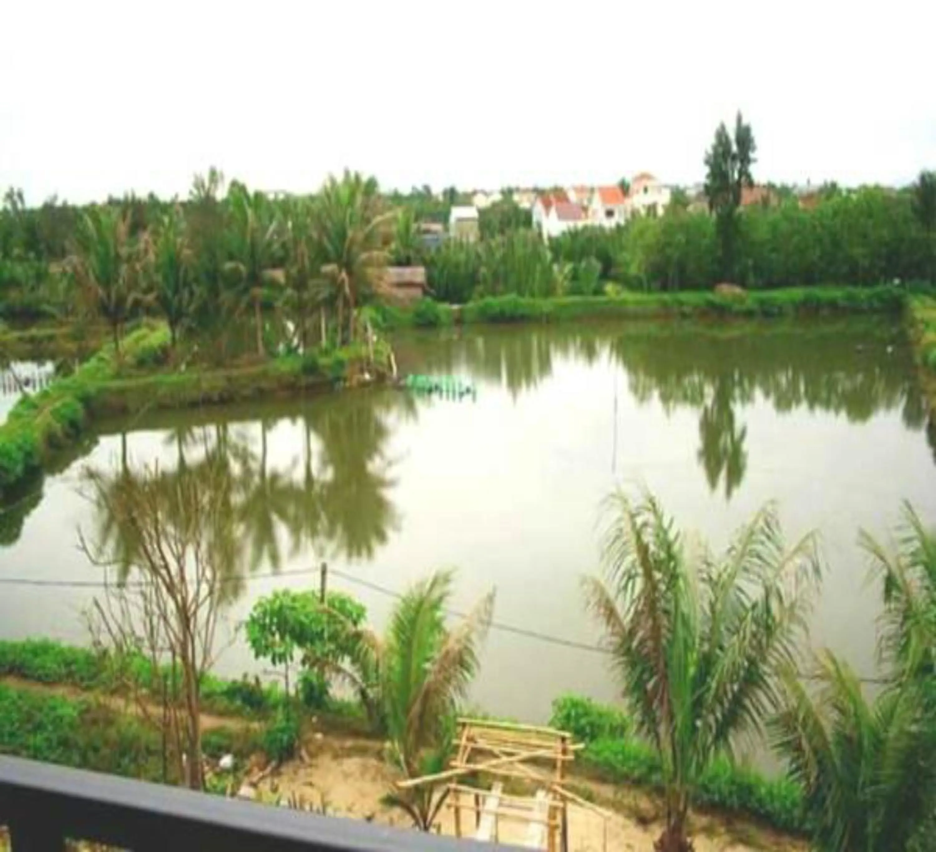 Lake view in Loc Khang Homestay