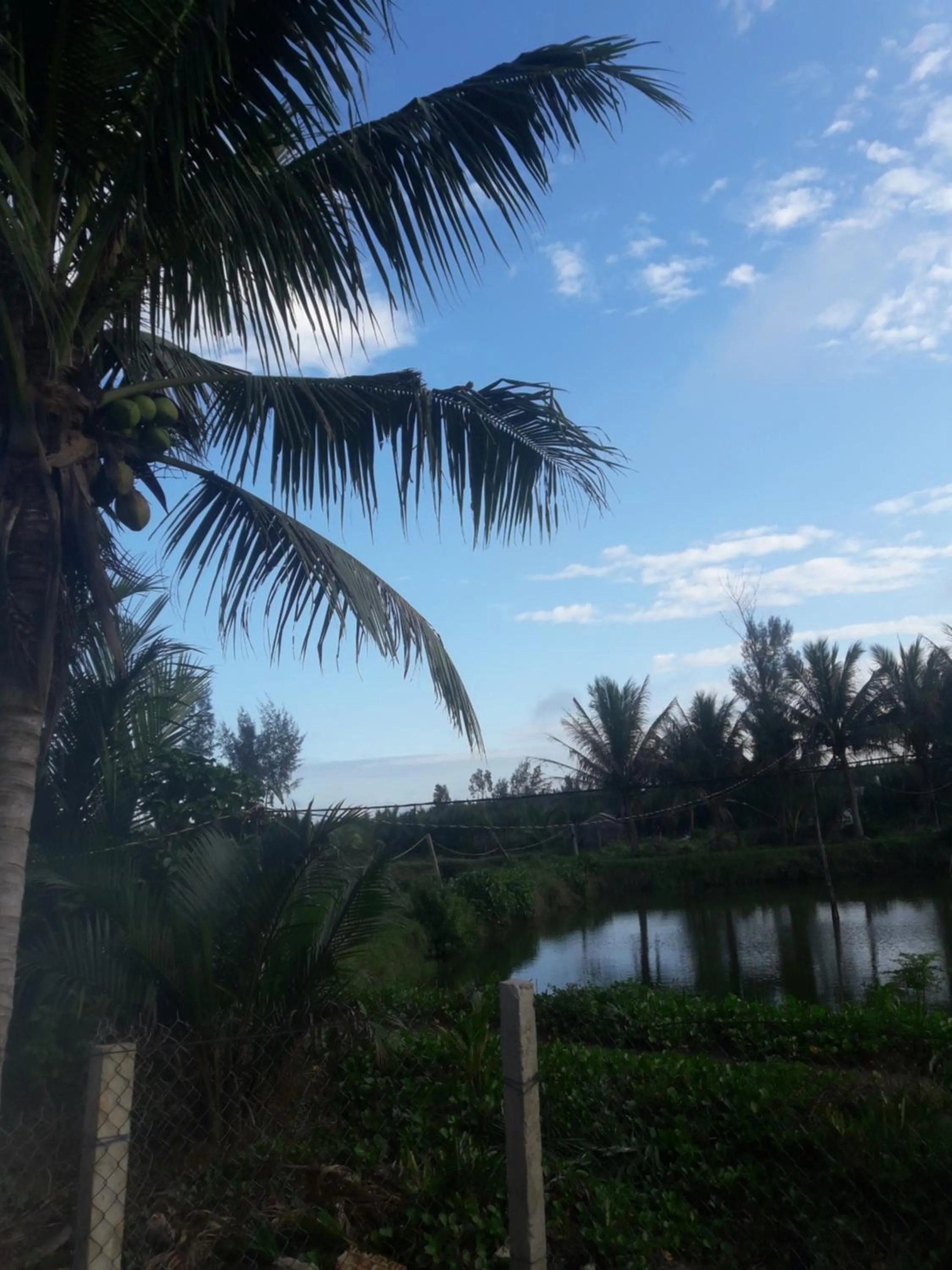 Lake view in Loc Khang Homestay