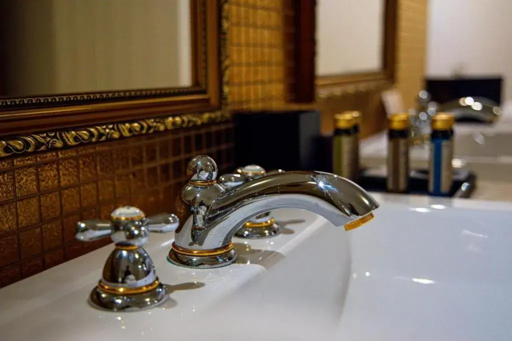 Double Room Atrium - single occupancy in Boutique Hotel Slávia Double Room Atrium - single occupancy in Boutique Hotel Slávia