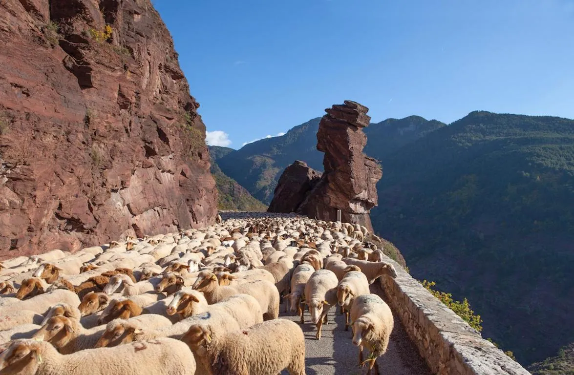 Property building in Relais Des Alpes