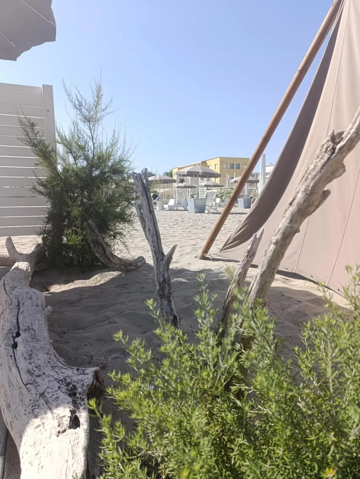 Beach in Ostello Stella Marina