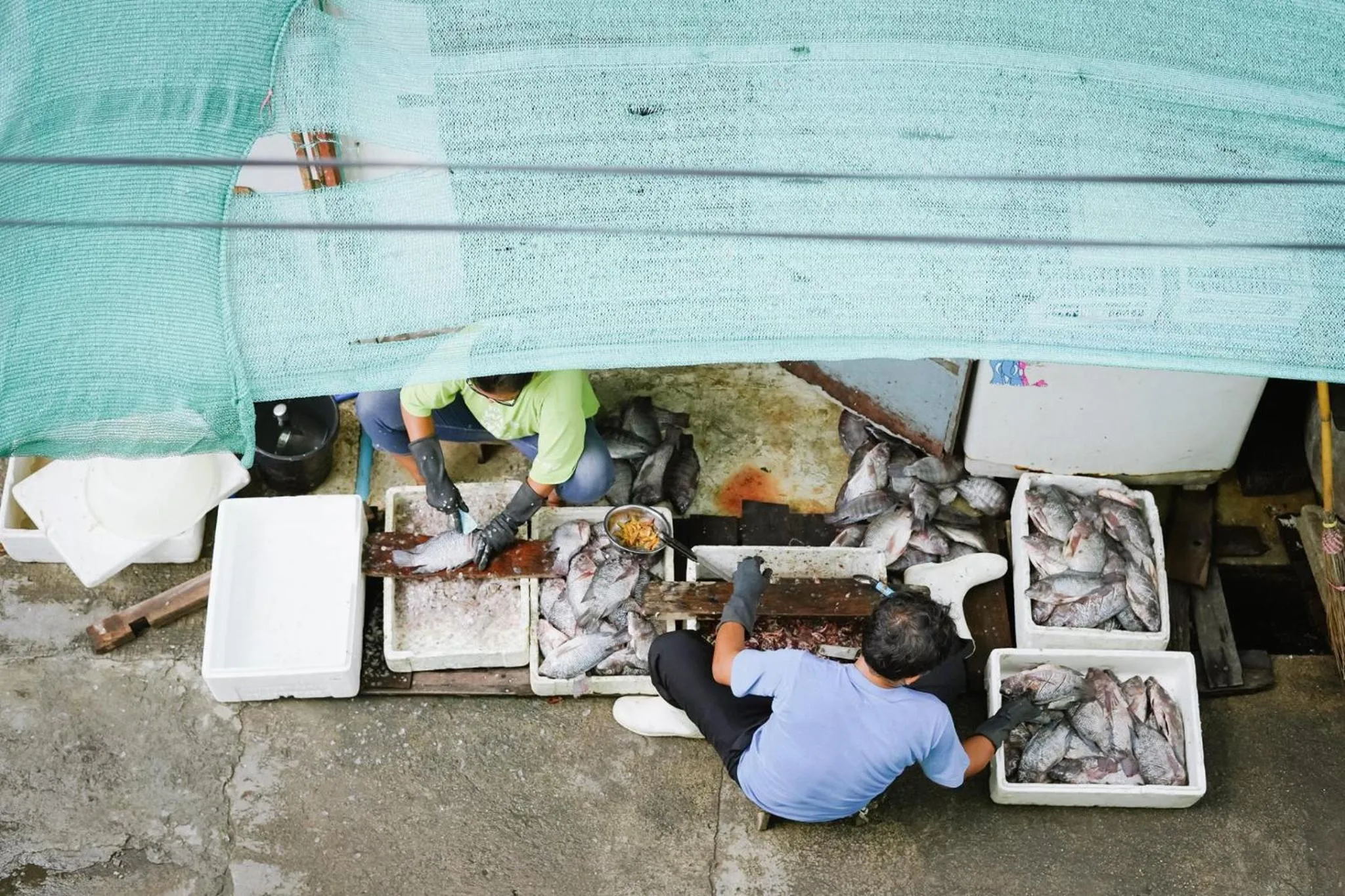 People in Memmoth Hostel In Lampang