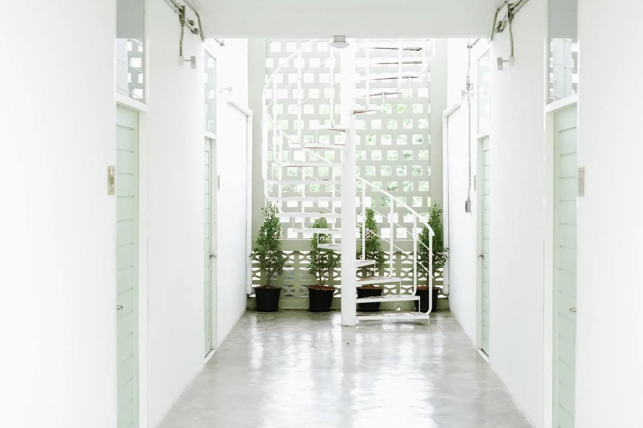 Property building in Memmoth Hostel In Lampang Property building in Memmoth Hostel In Lampang