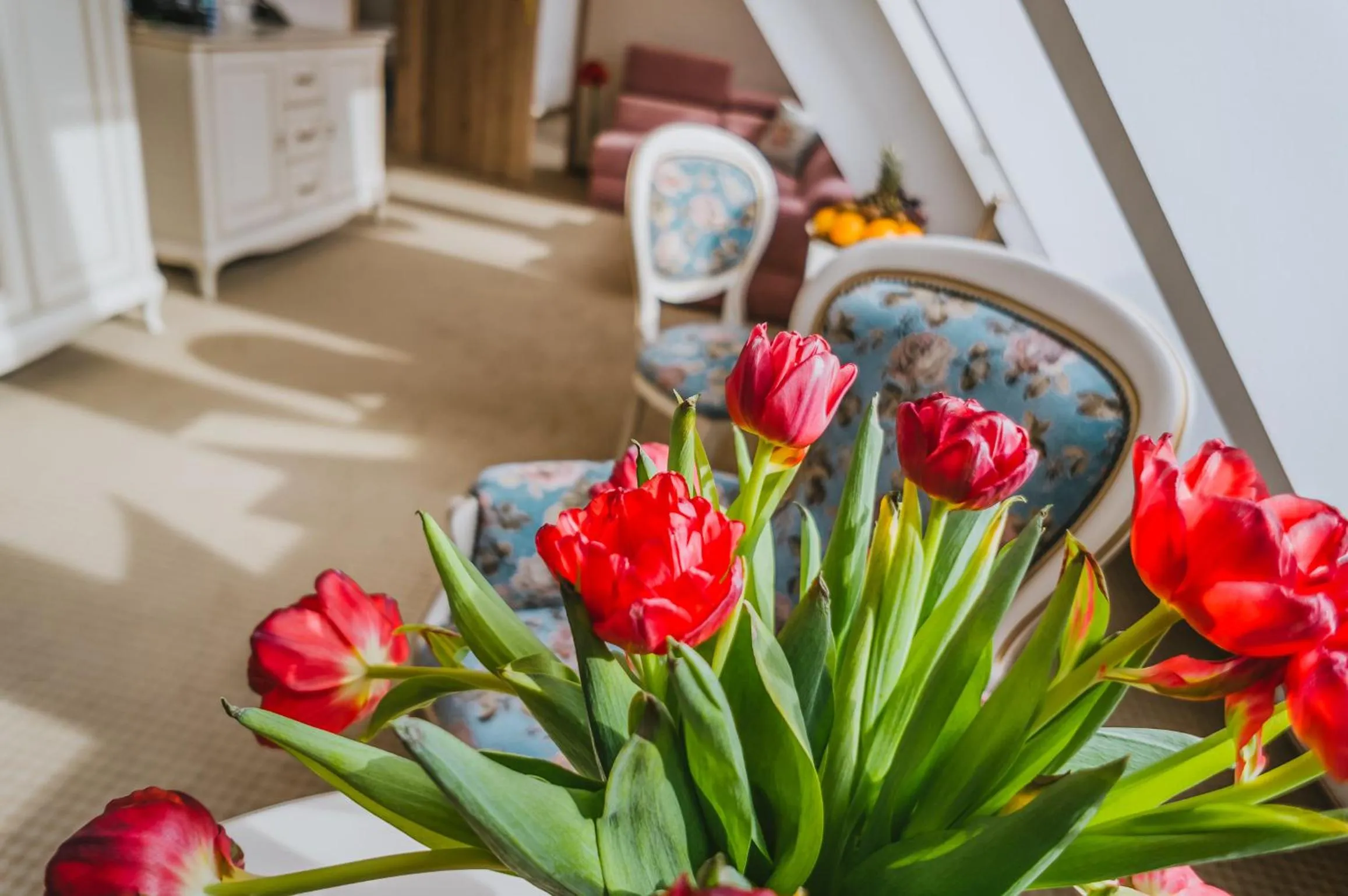 Photo of the whole room in Hotel Paryski Art & Business Zakopane - Basen Jacuzzi Sauna Małpi Gaj