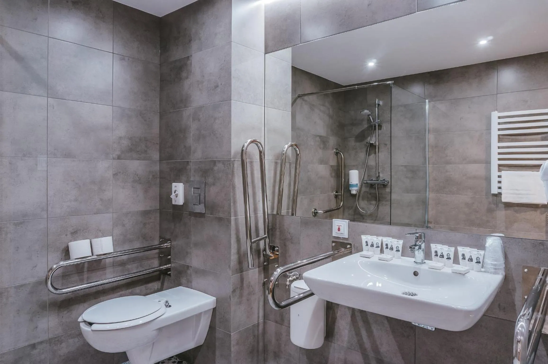 Toilet in Hotel Paryski Art & Business Zakopane - Basen Jacuzzi Sauna Małpi Gaj