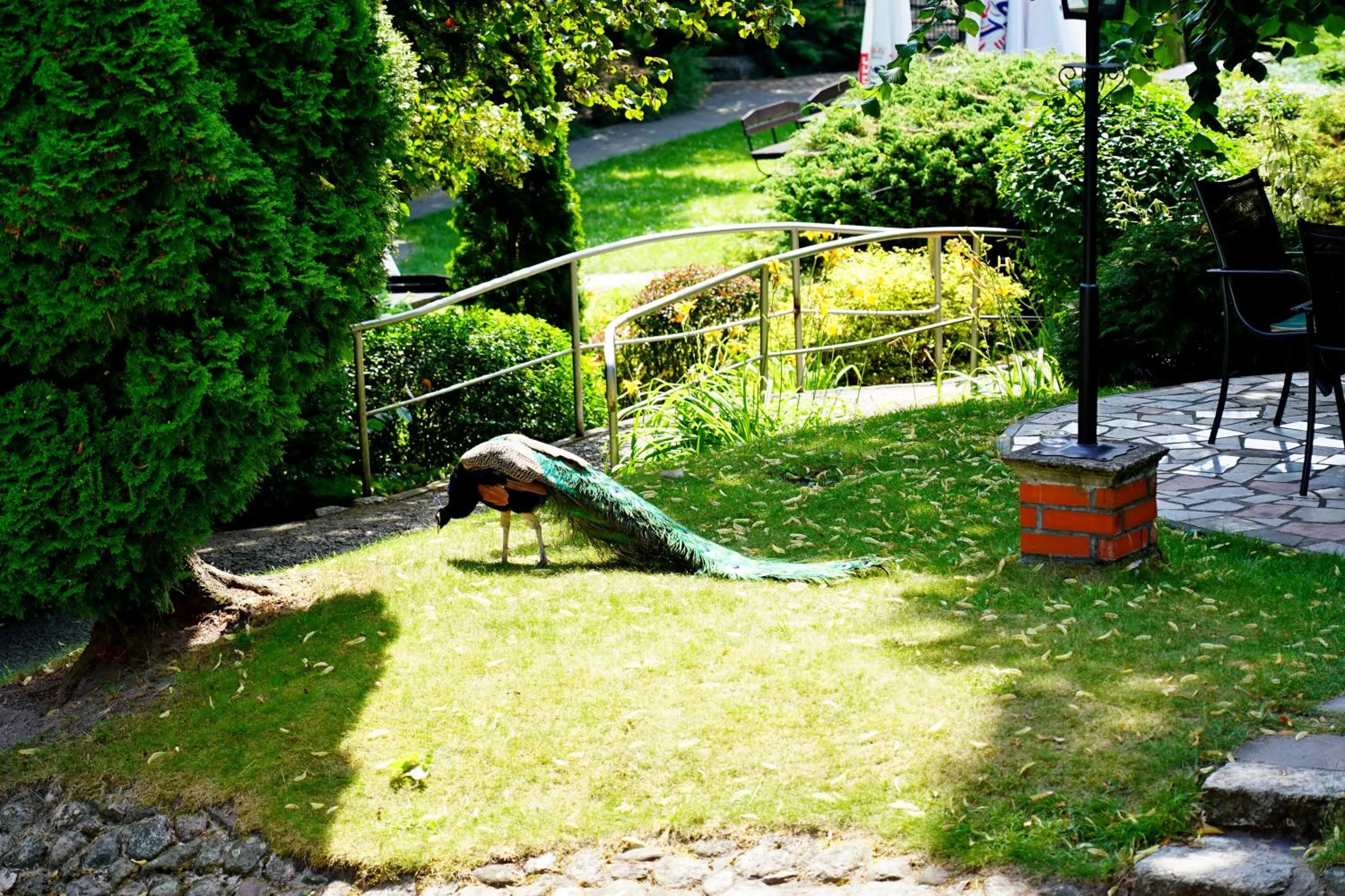 Garden in Hotel Adalbertus