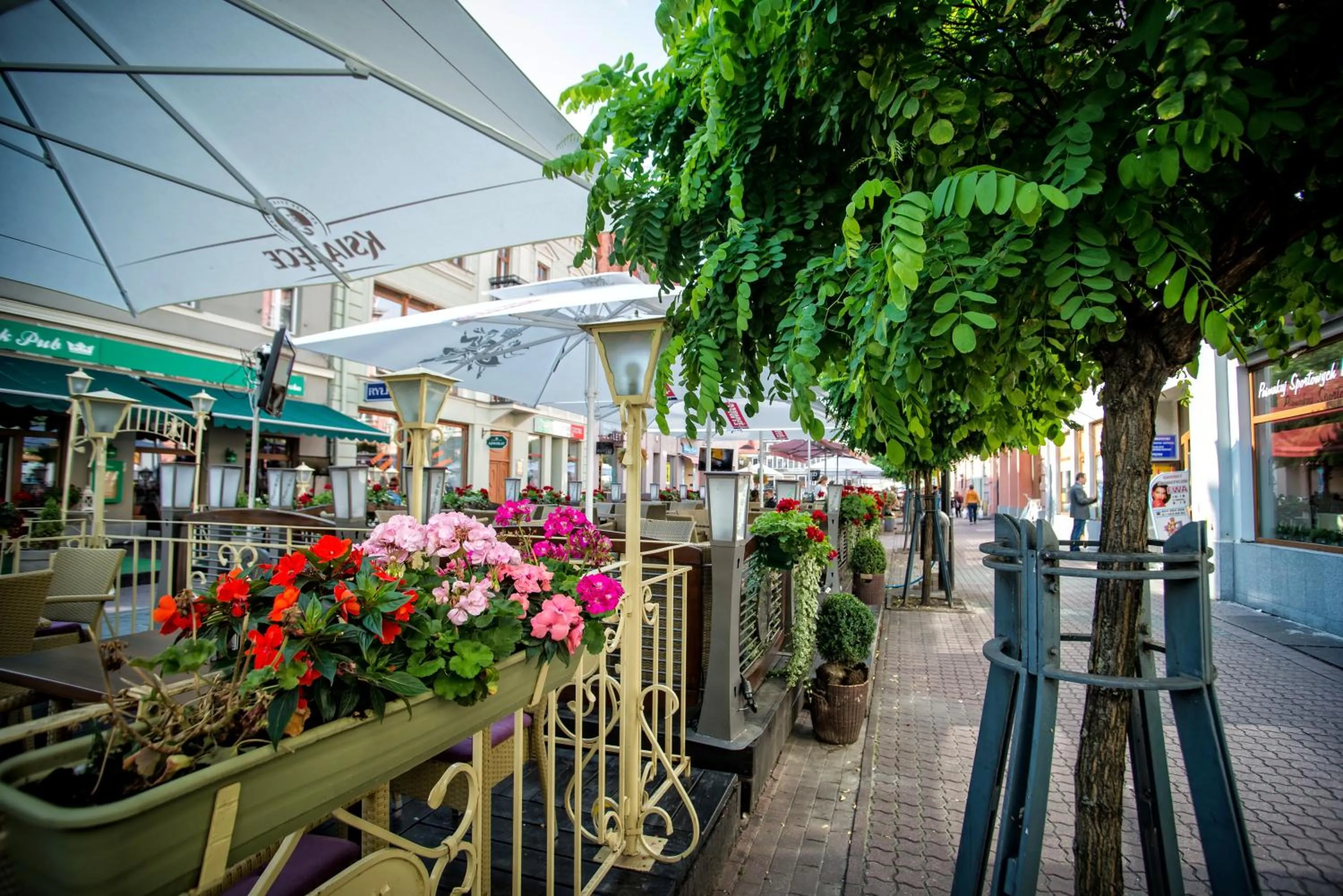 Spring in Pietrak Hotel