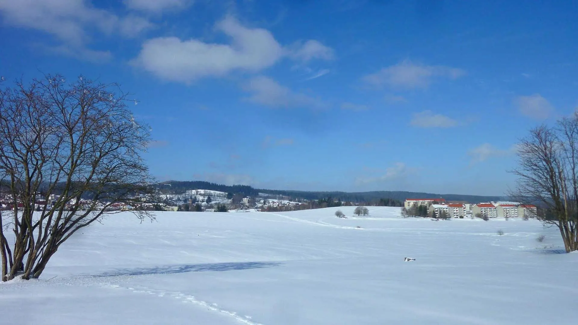 Ferienwohnung Rennsteigblick
