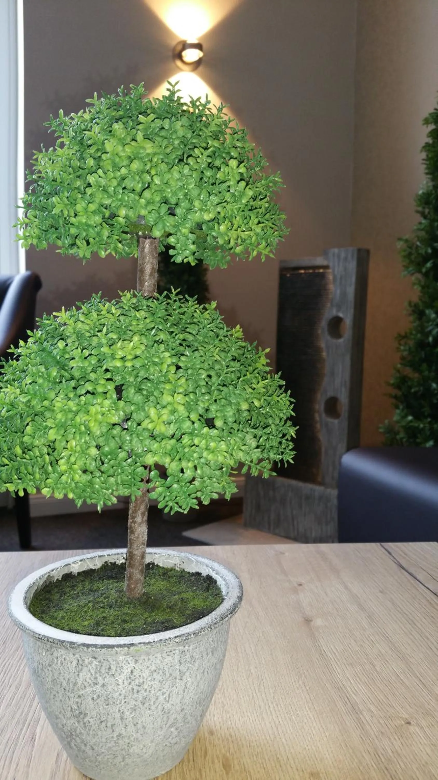 Area and facilities in Hotel An der Altstadt