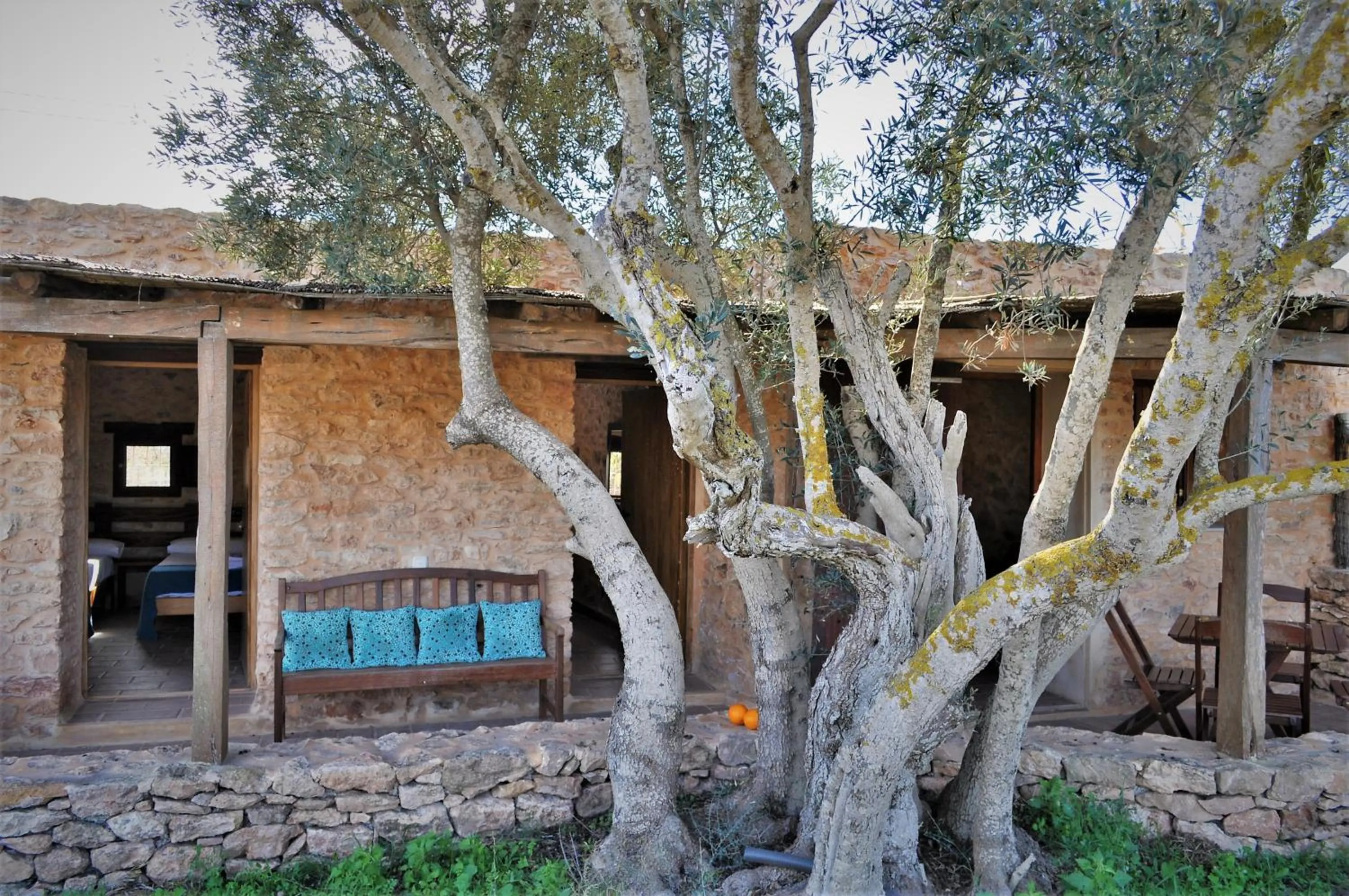 Property building in Siamoformentera Analissa