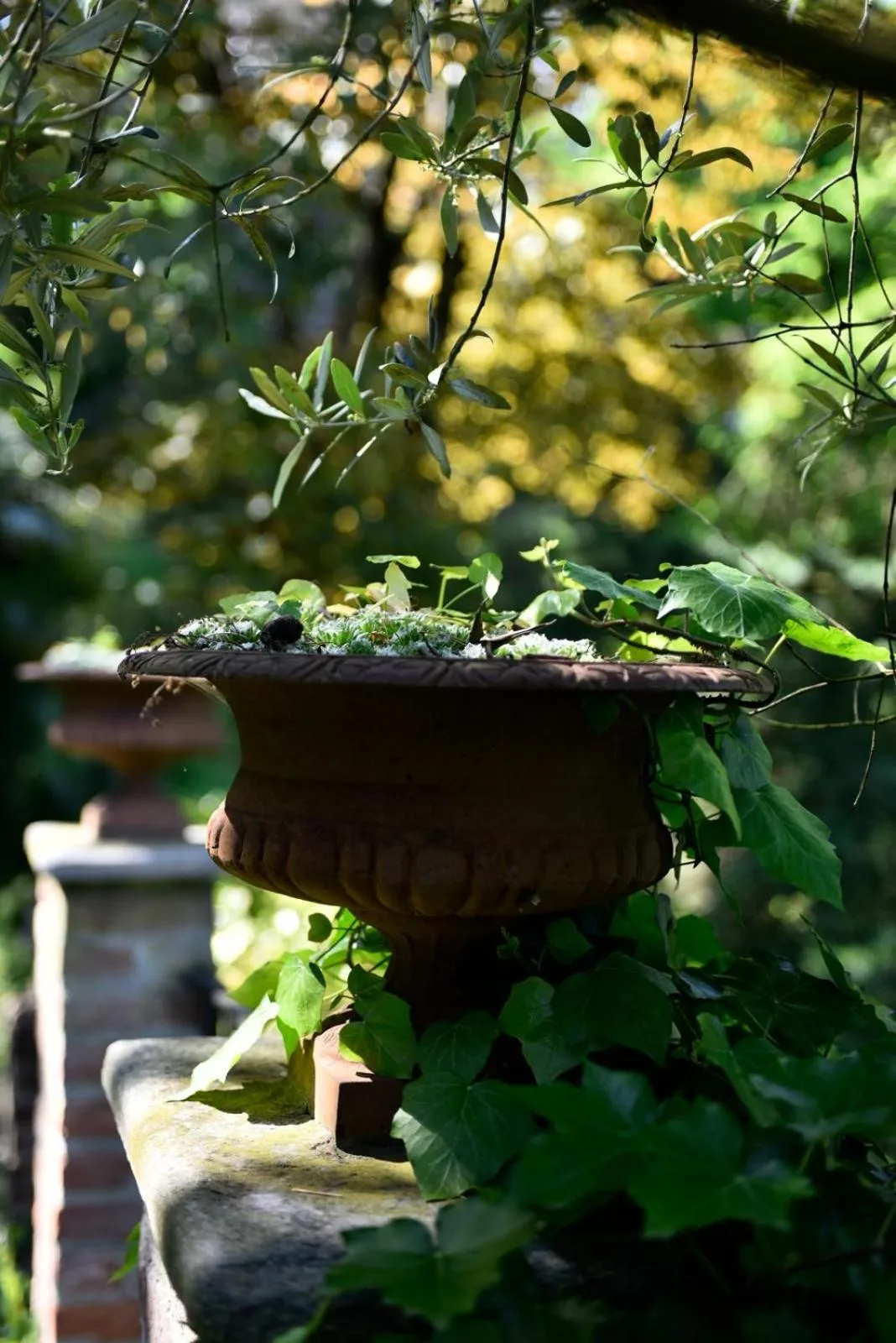 Dimora Storica La Corte Delle 4 Stagioni