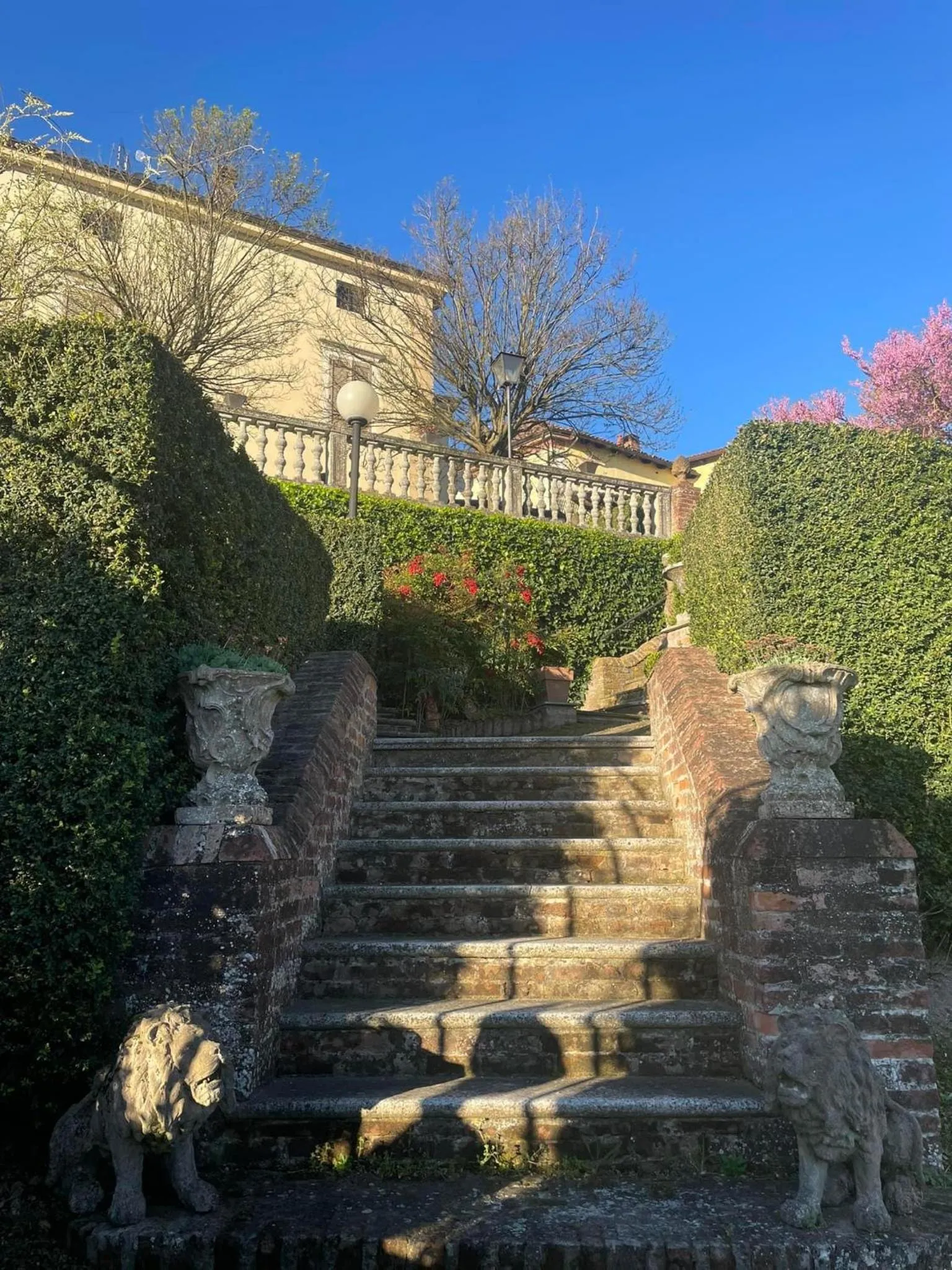 Garden in Dimora Storica La Corte Delle 4 Stagioni