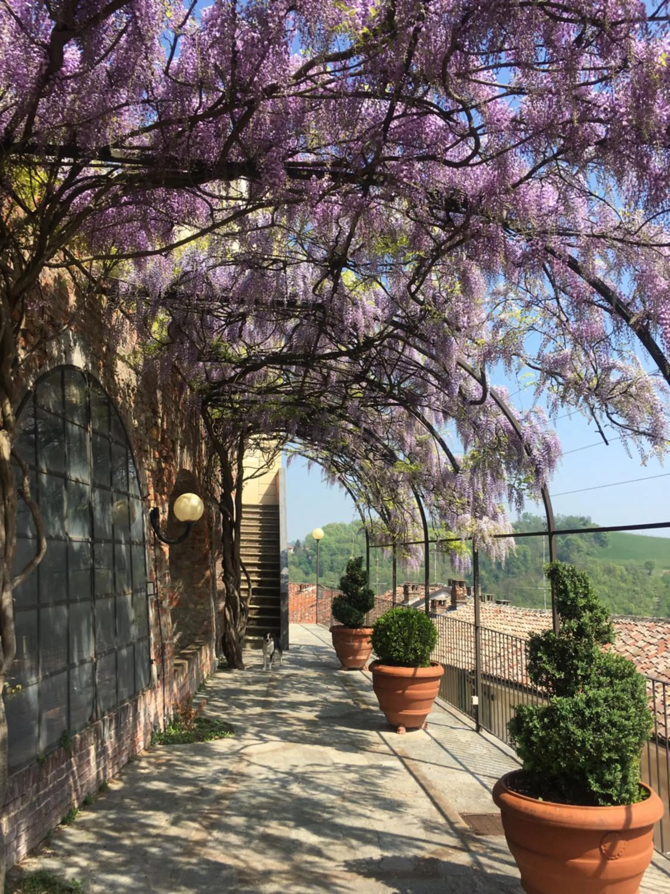 Natural landscape in Dimora Storica La Corte Delle 4 Stagioni