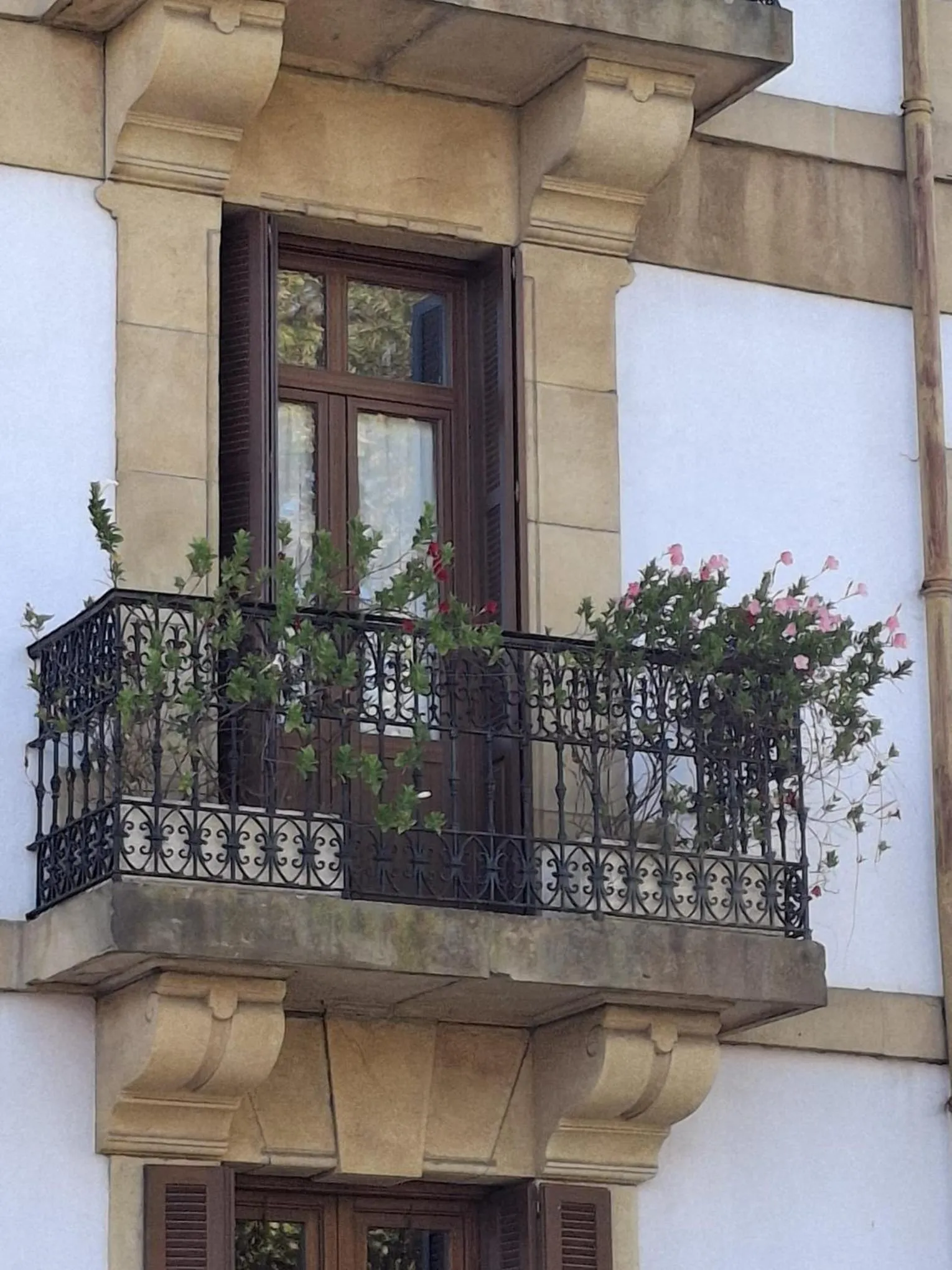 Property building in Hotel Olajauregi