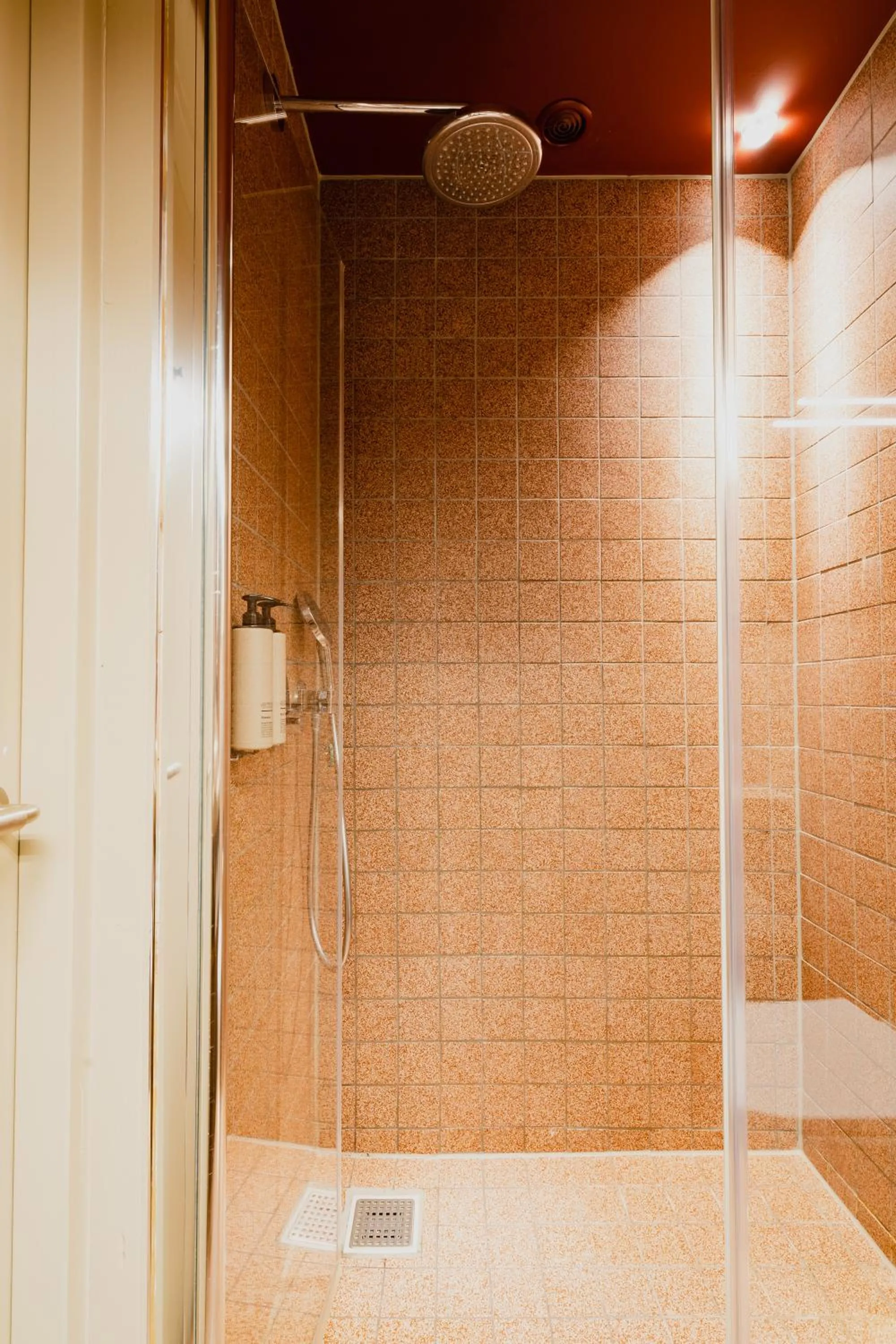 Shower in Hotel van de Vijsel