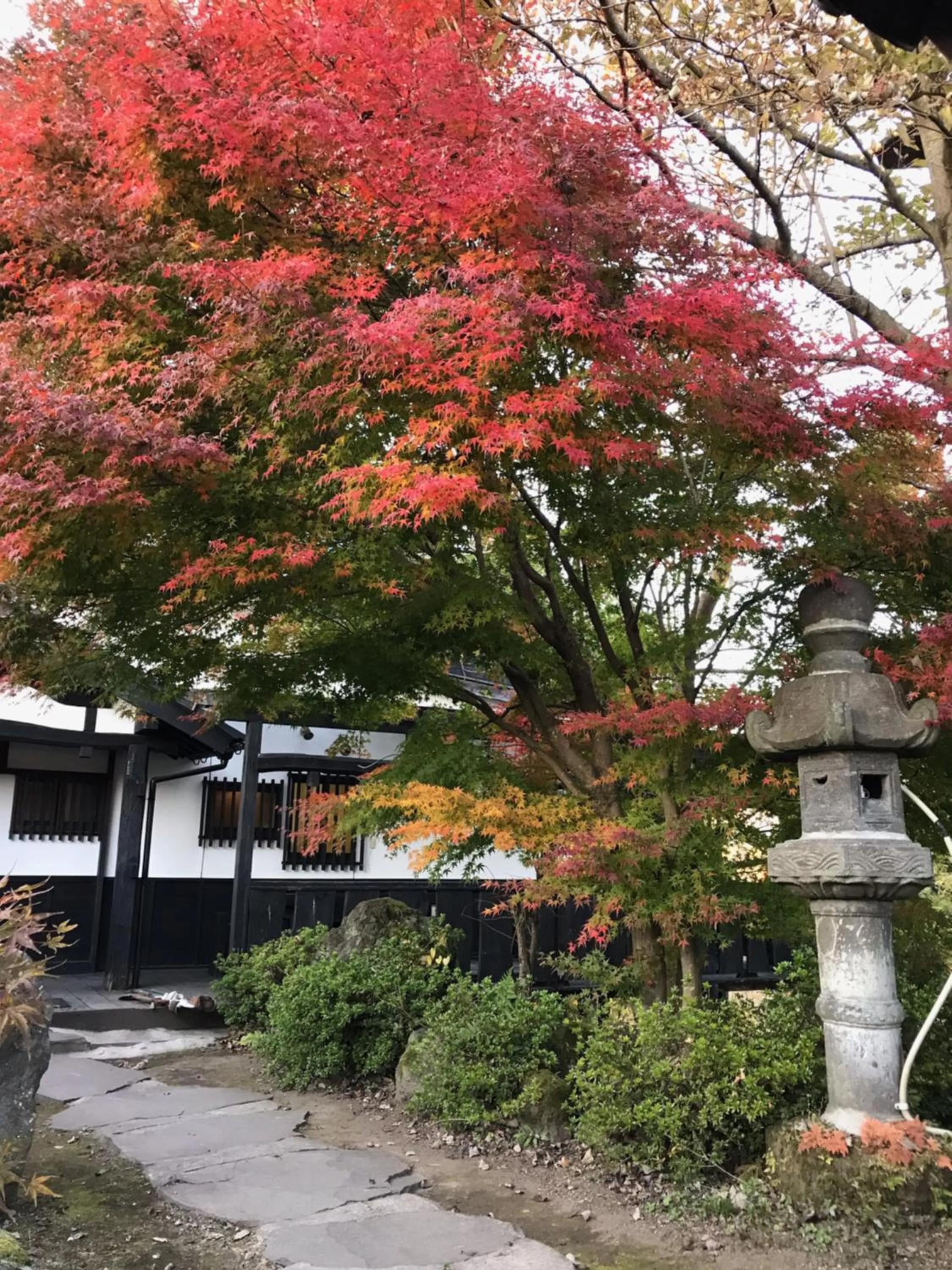 Facade/entrance in Kurokawa Mori no Cottage