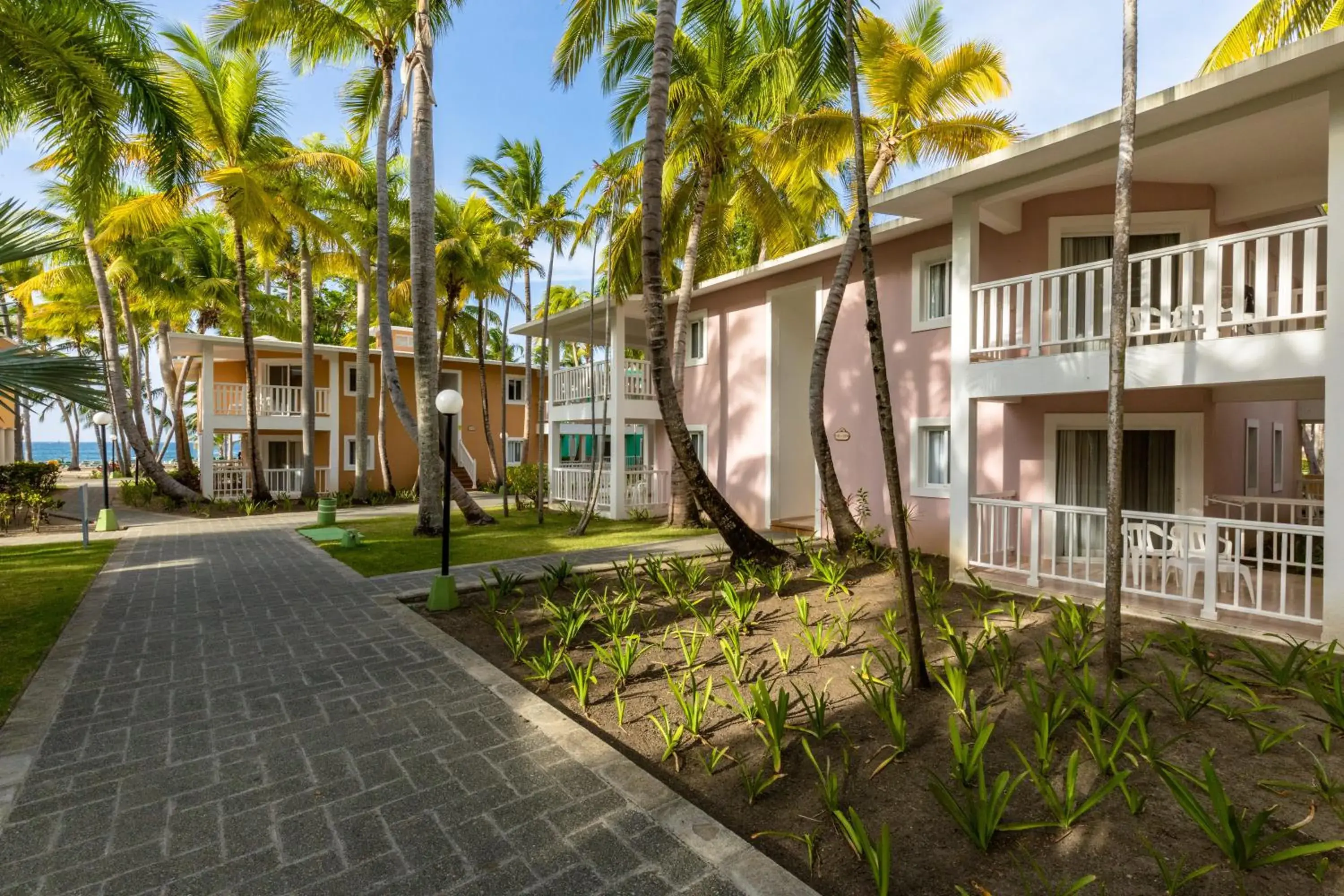 Standard Room - single occupancy in Playabachata Standard Room - single occupancy in Playabachata