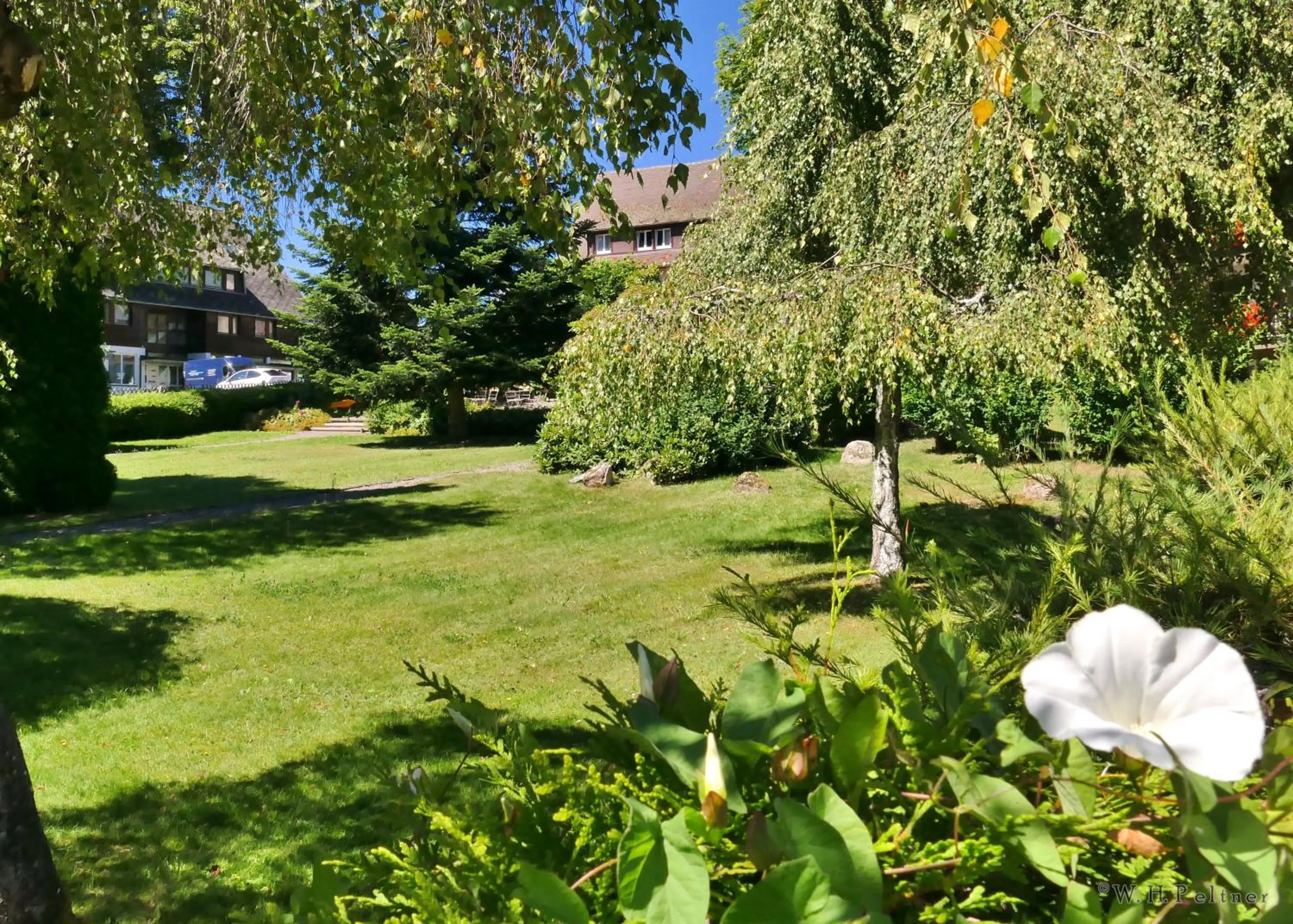 Garden in Hotel Hochfirst