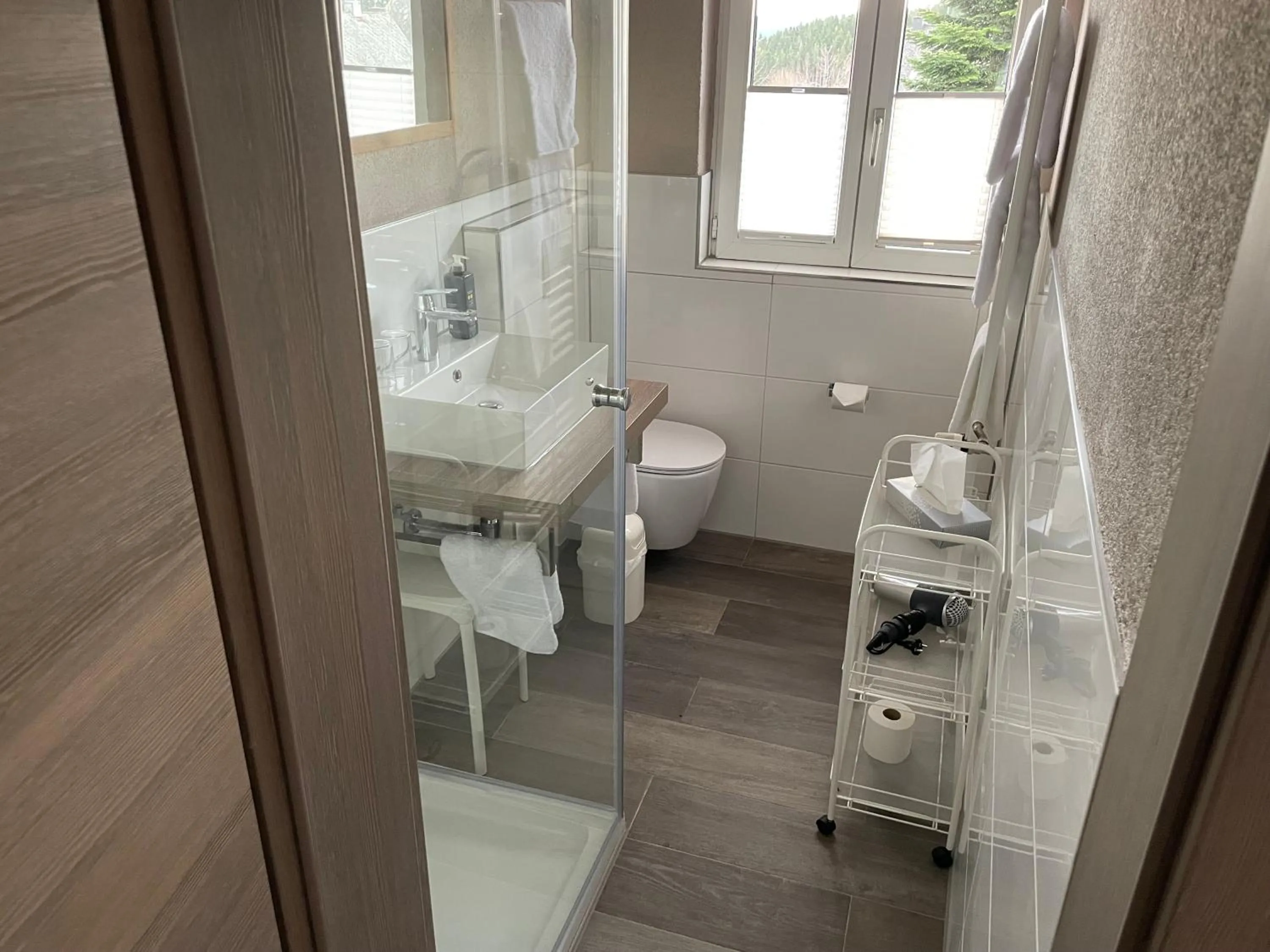 Bathroom in Hotel Hochfirst