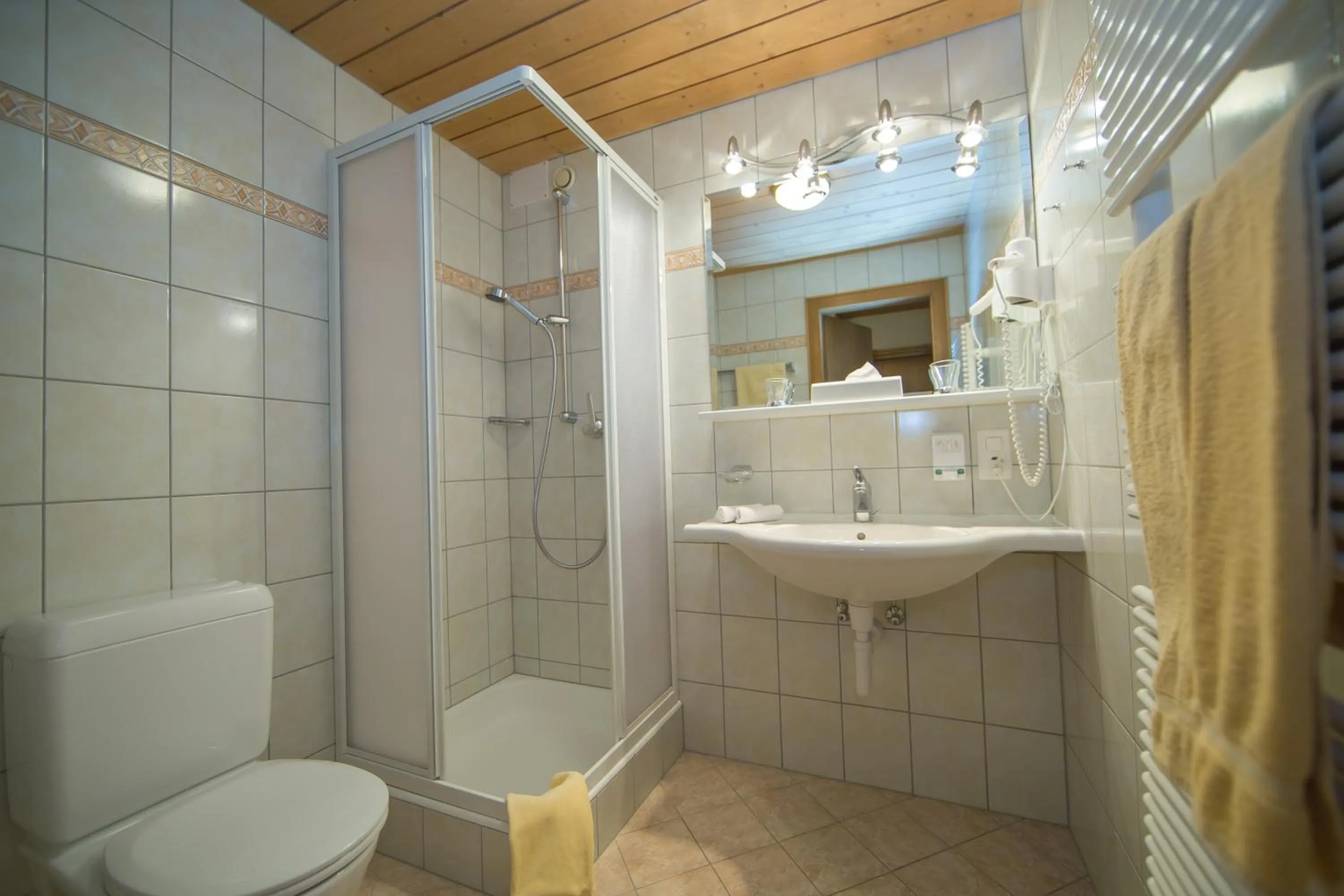 Shower in Hotel Cresta