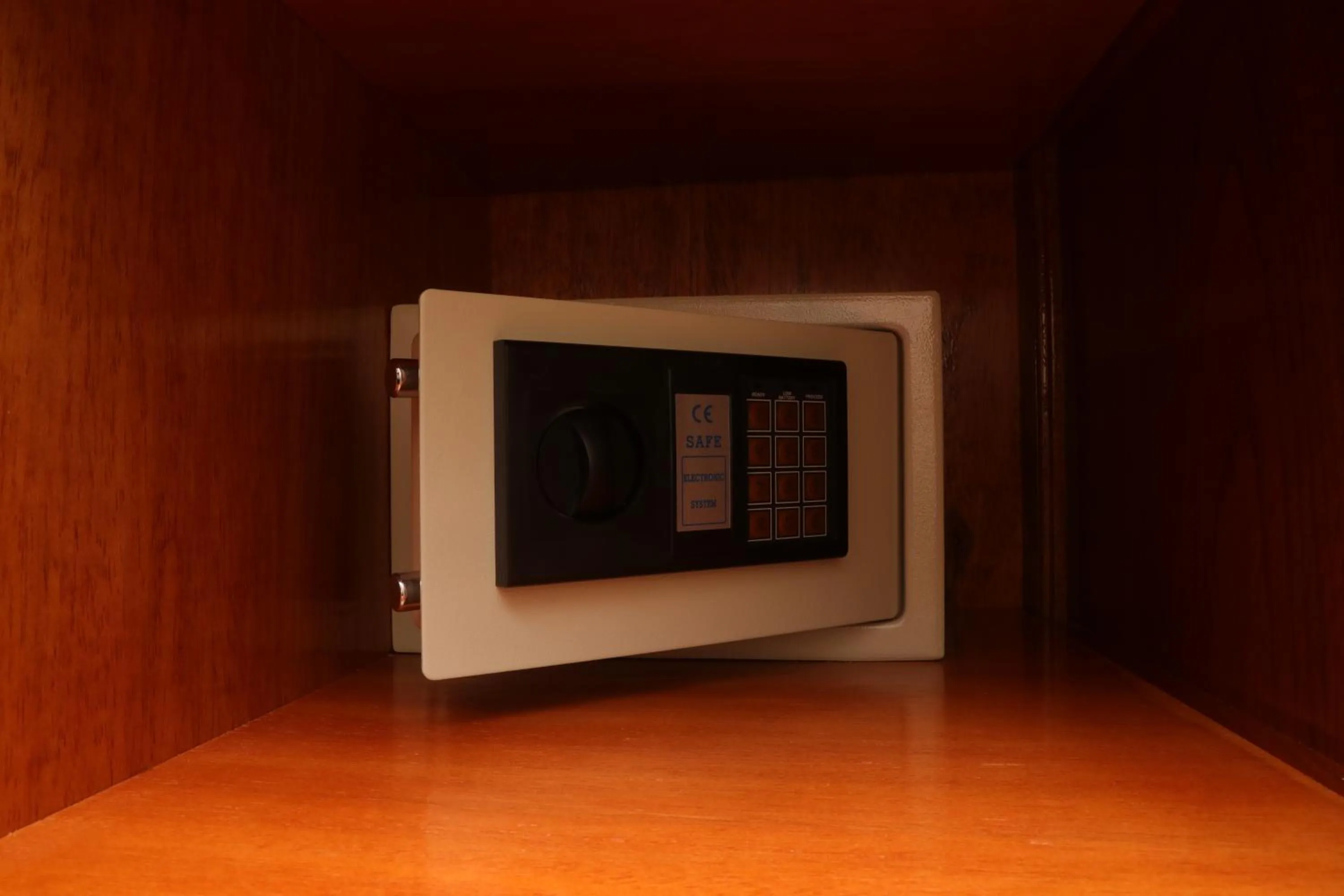 Area and facilities in Sol Plaza Hotel