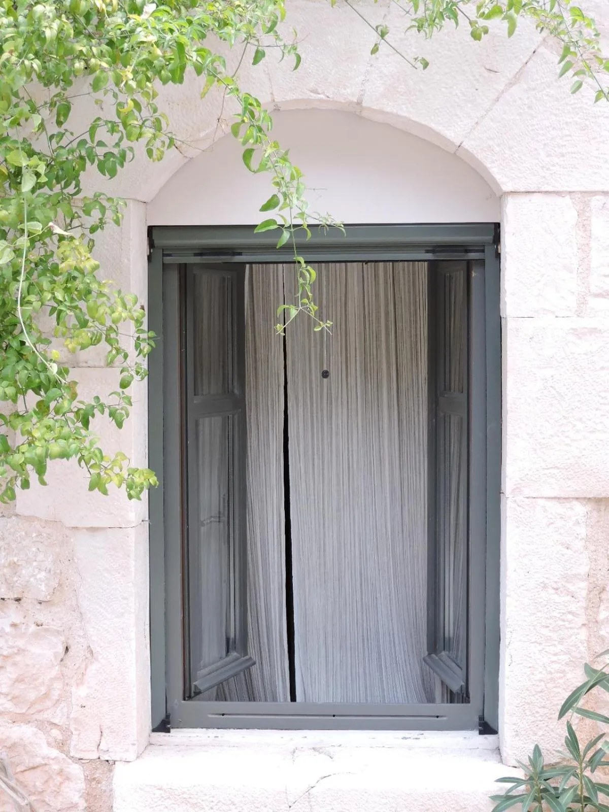 Property building in Familia