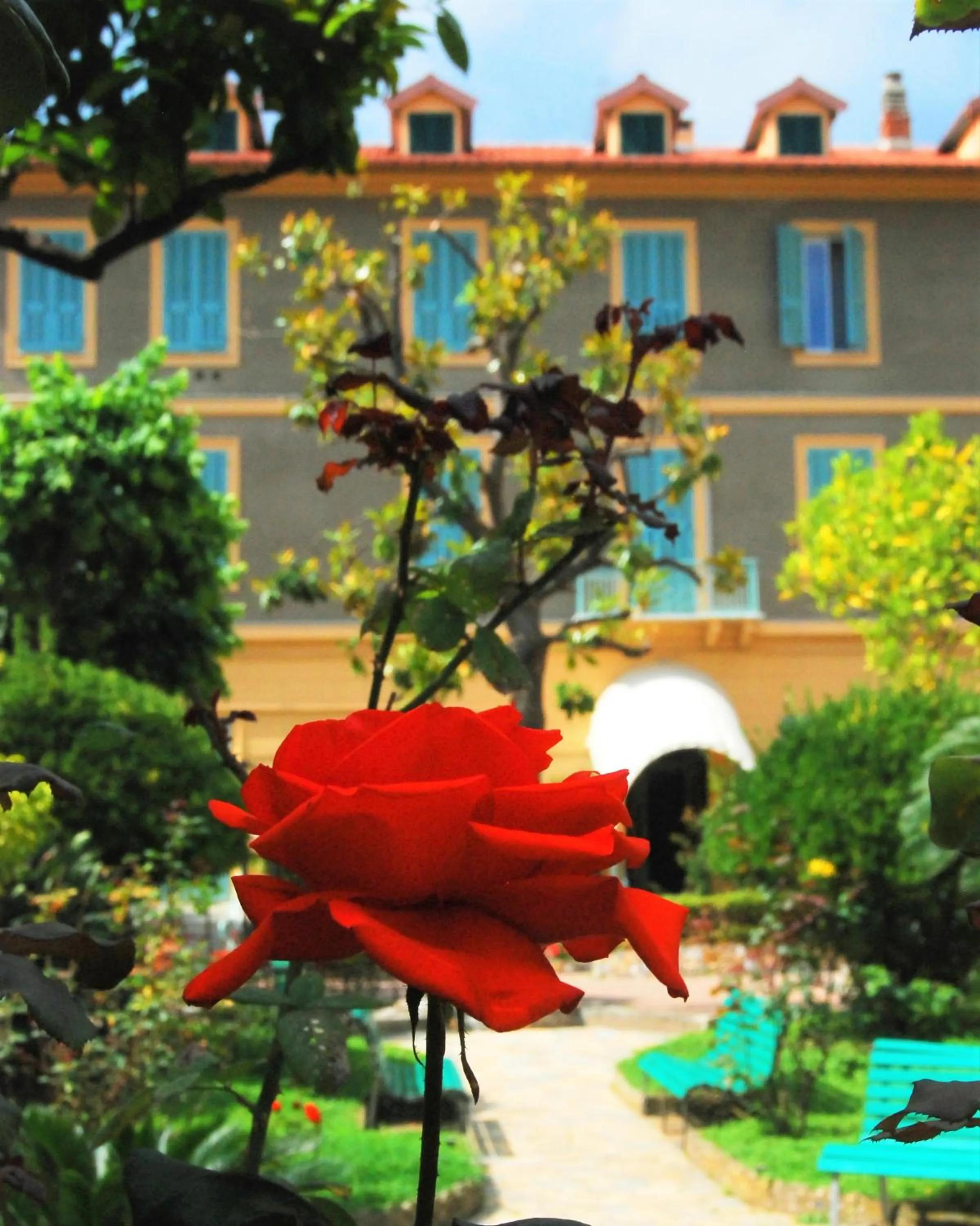 Patio in Hotel Villa Sophia
