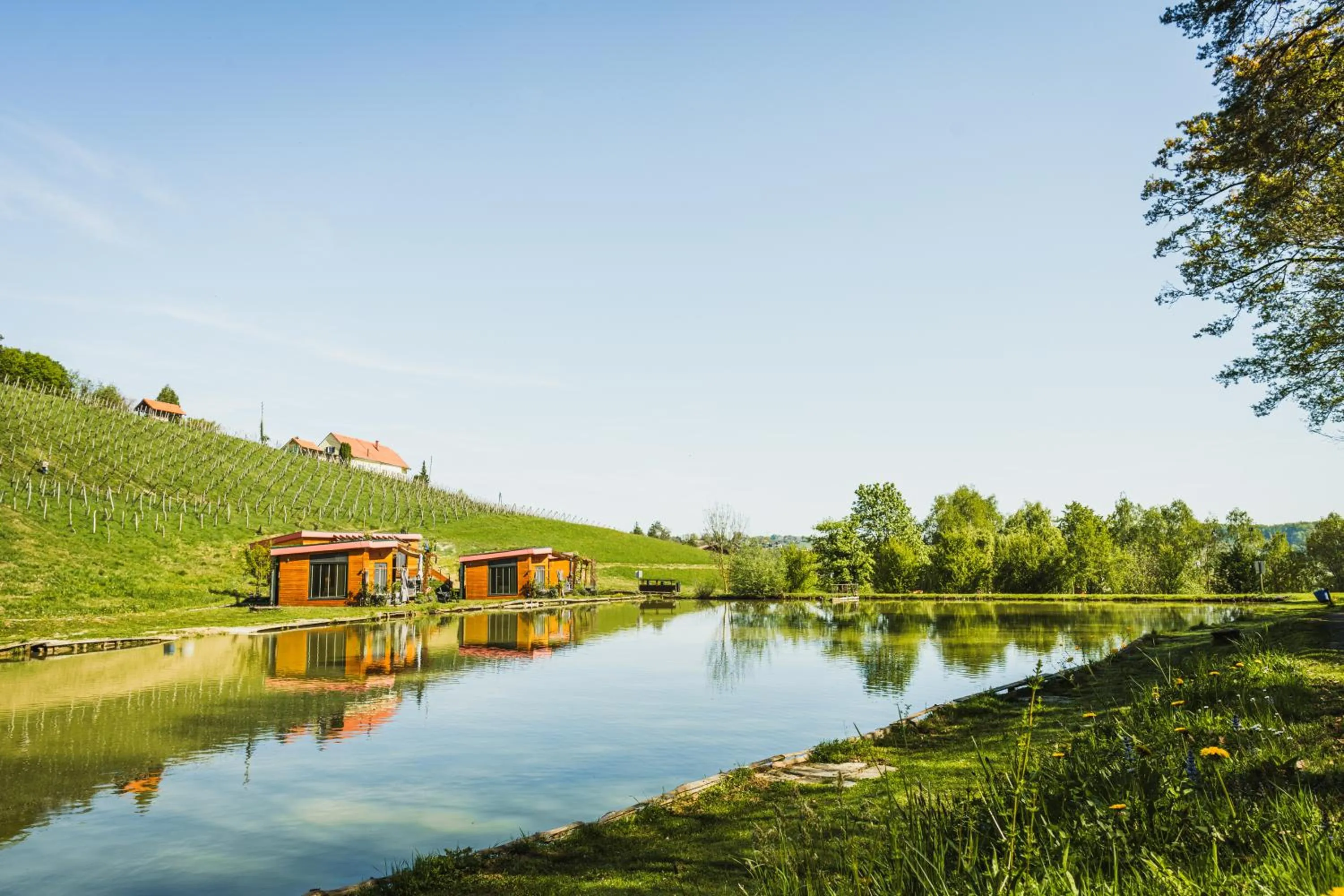 Fishing in Naturasort Holiday Houses
