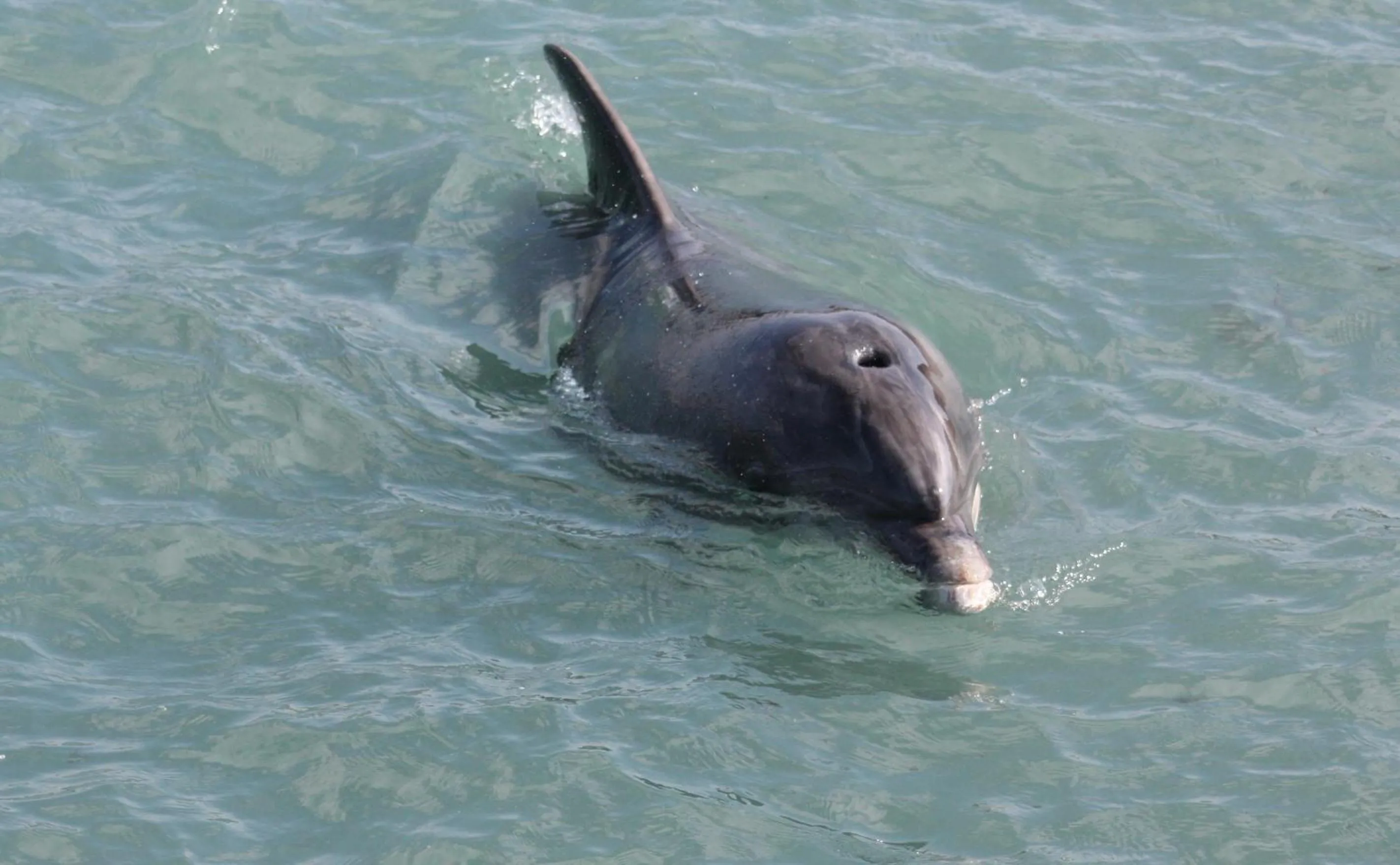 Property building in Glasha Meadows Accommodation