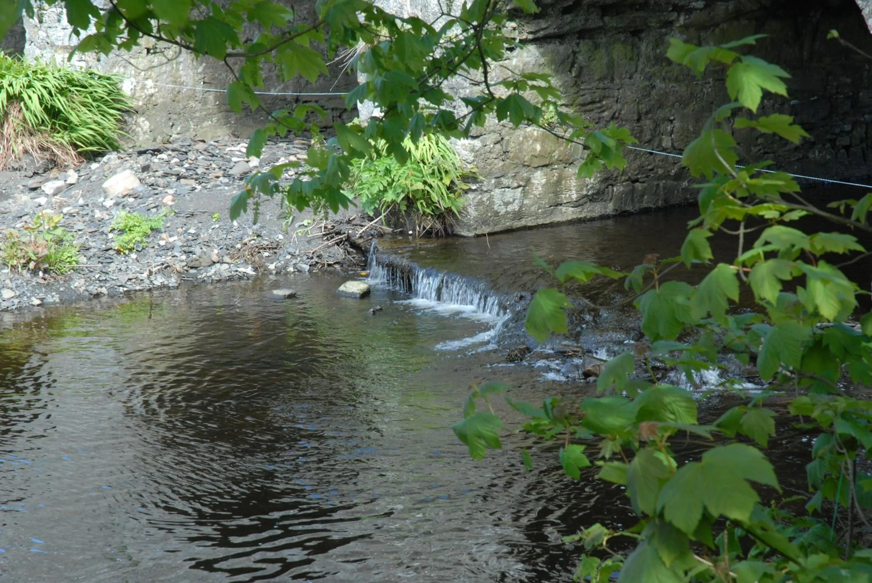 Off site in Glasha Meadows Accommodation