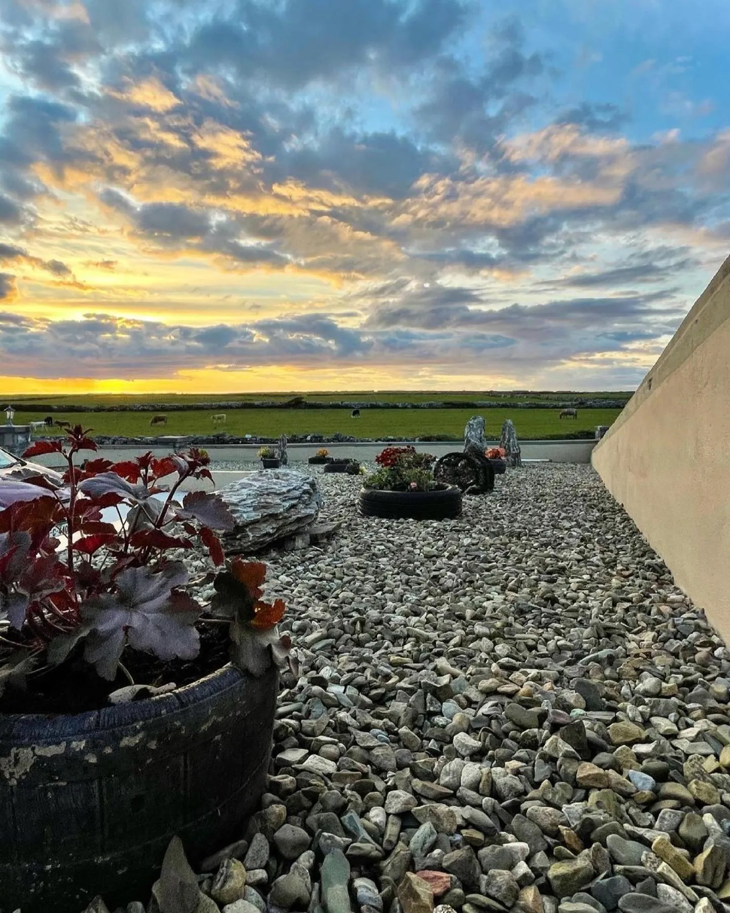 View (from property/room) in Glasha Meadows Accommodation