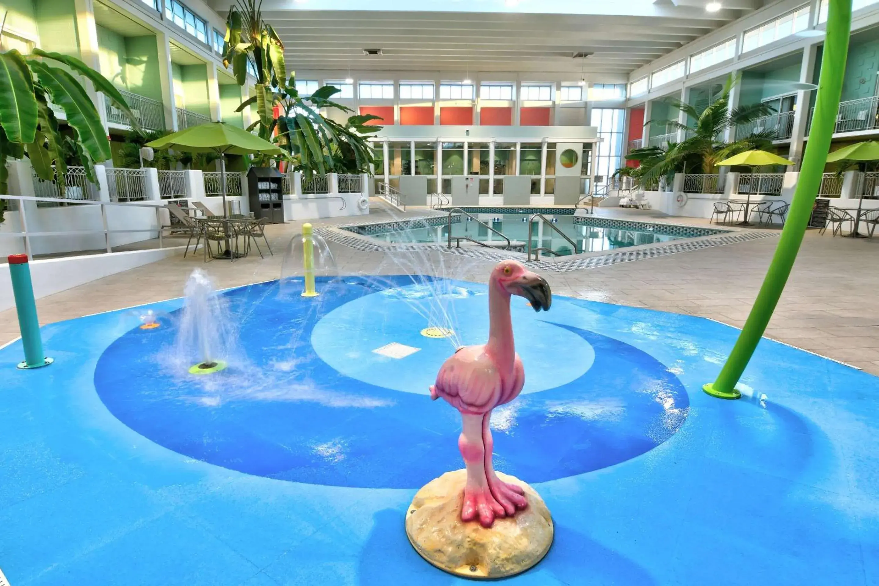 Swimming pool in Oasis Hotel and Conv Center, an Ascend Collection Hotel Swimming pool in Oasis Hotel and Conv Center, an Ascend Collection Hotel