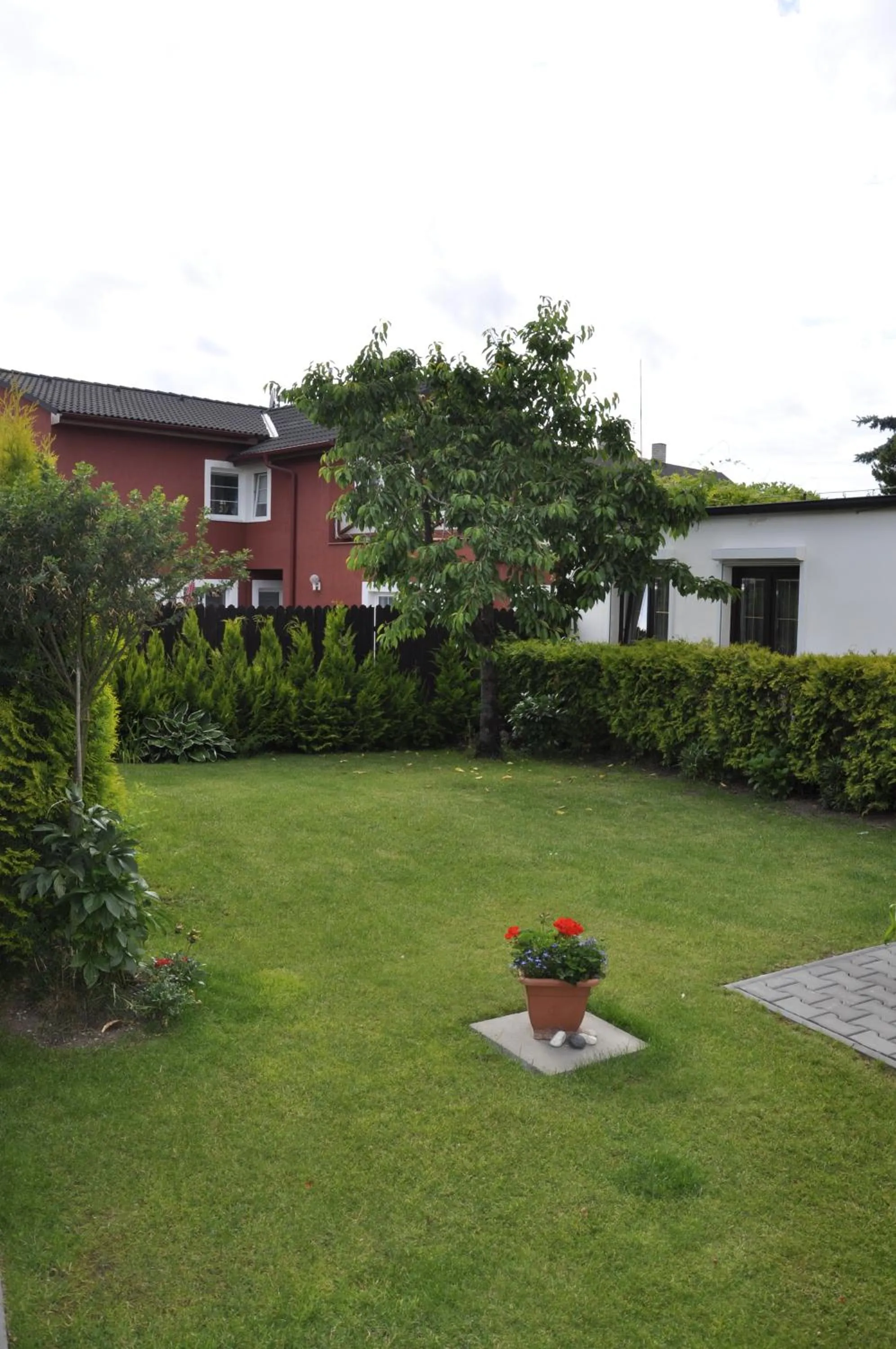 Garden in Pension Sparta