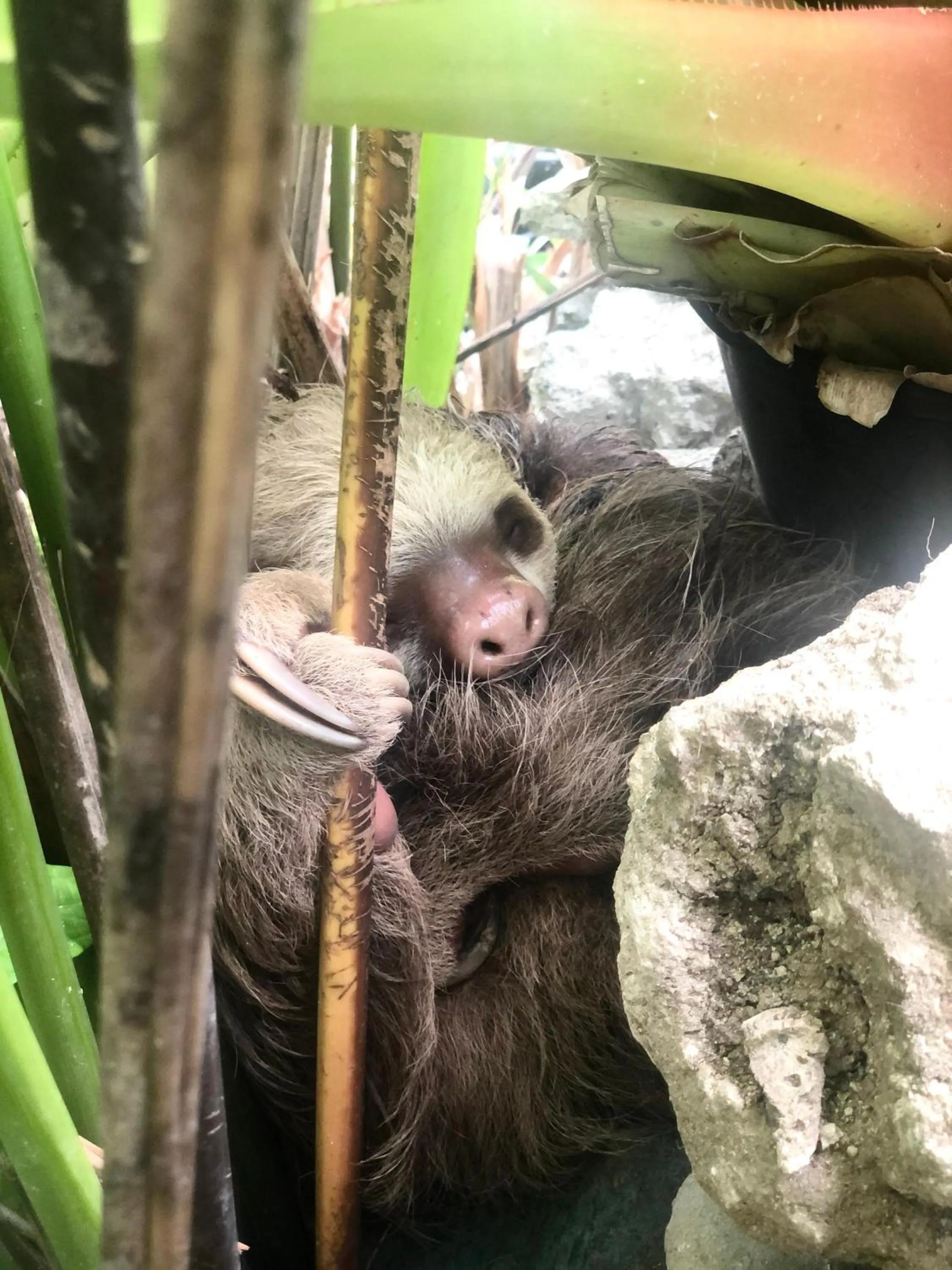 Property building in Hotel Aguas Claras Member of the Cayuga Collection
