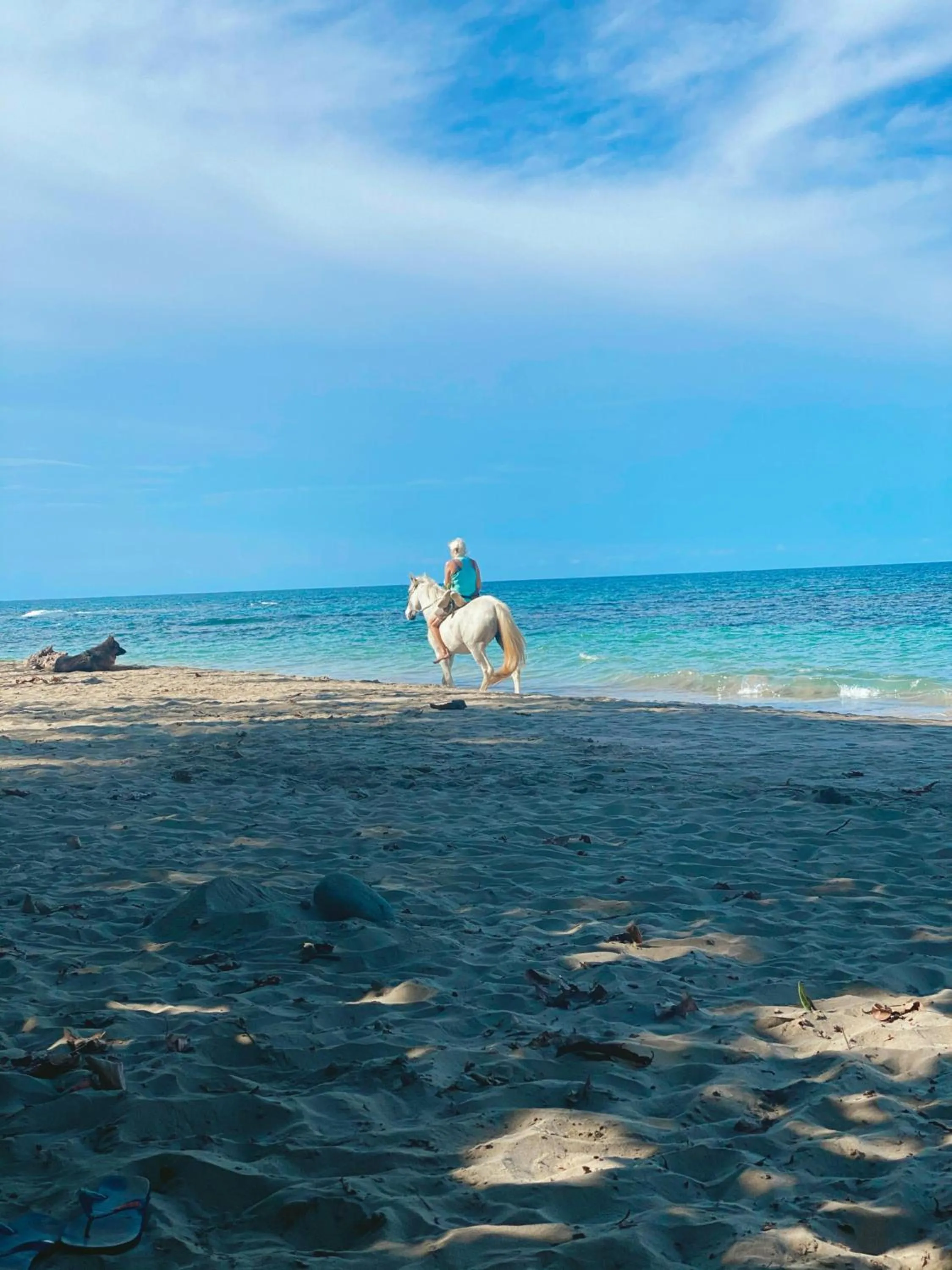 Beach in Hotel Aguas Claras Member of the Cayuga Collection