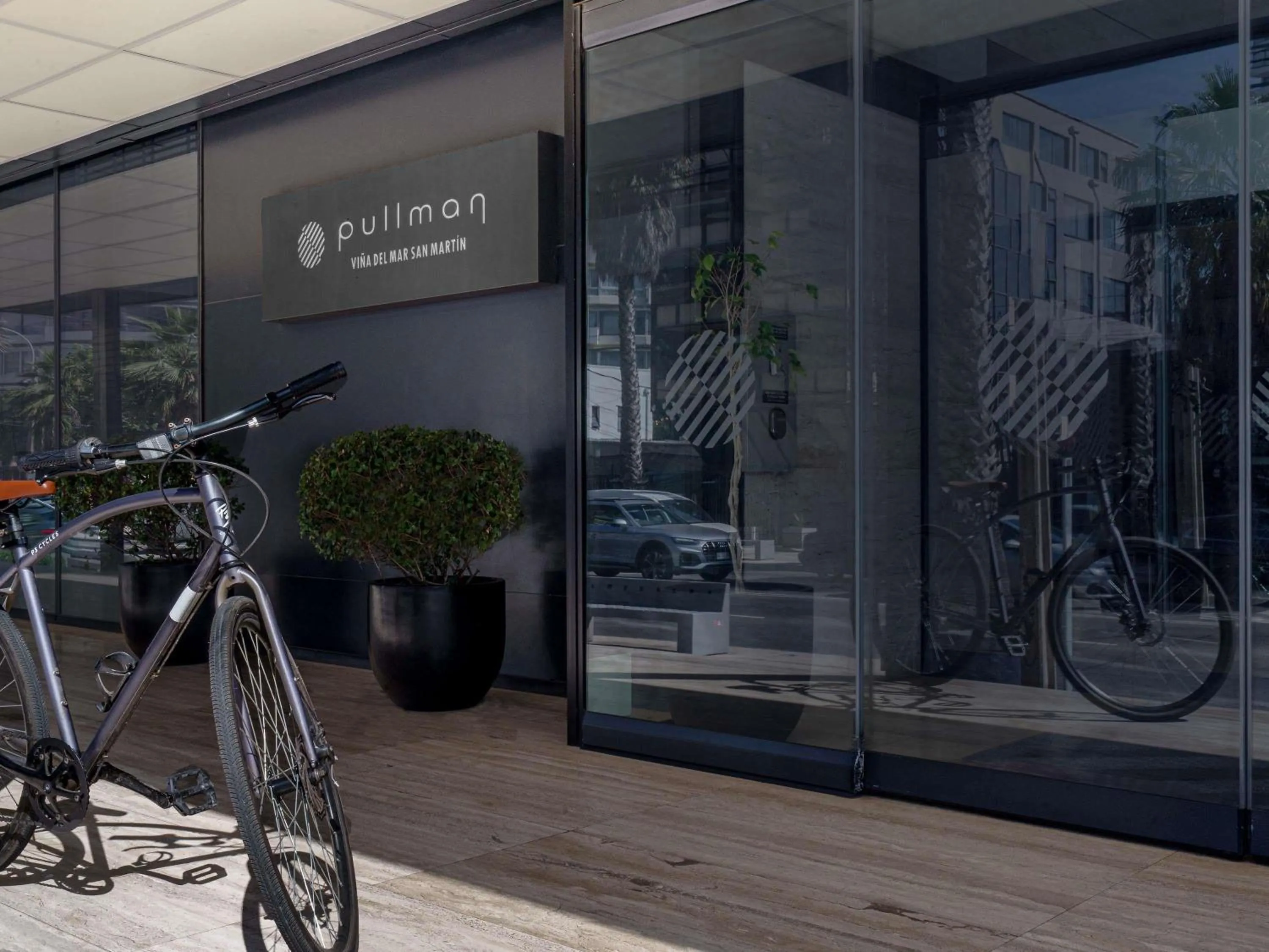 Other in Pullman Vina del Mar San Martin